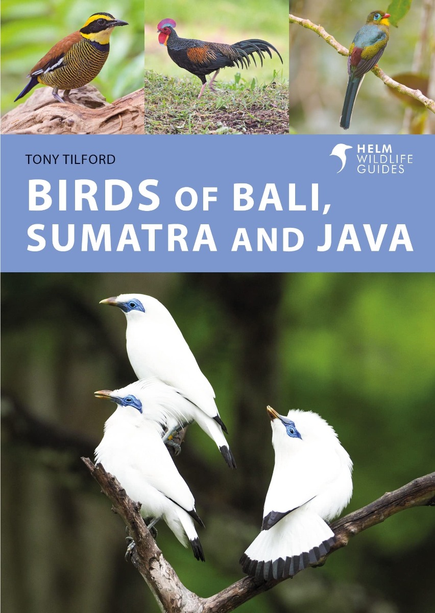 

Birds of Bali, Sumatra and Java. A Photographic Guide
