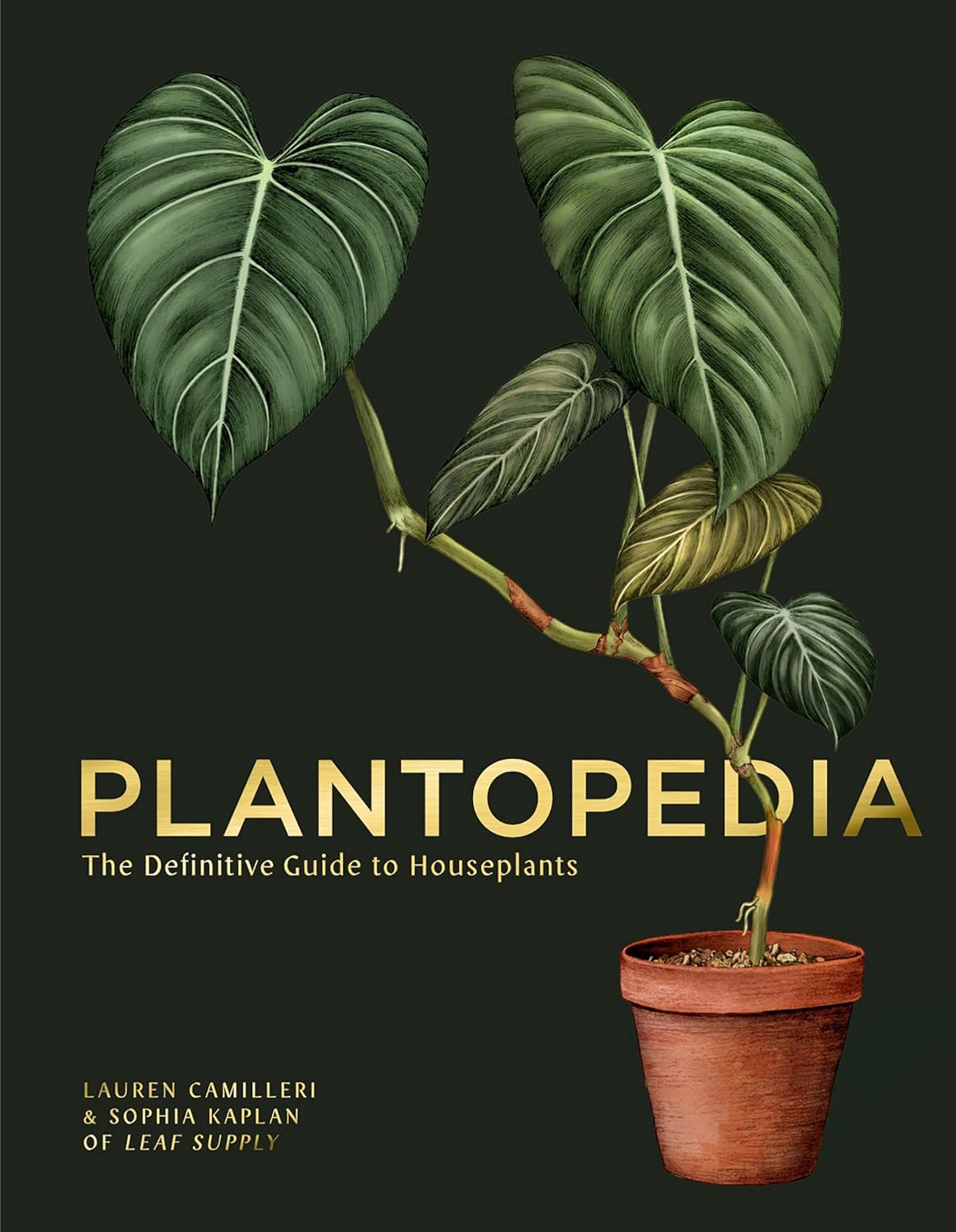 Plantopedia 