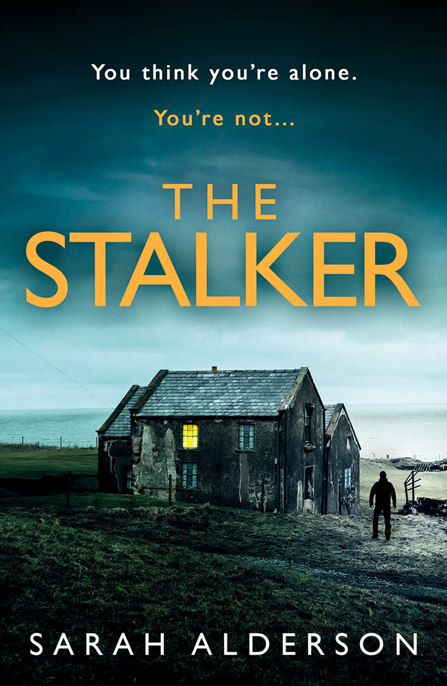 

The Stalker