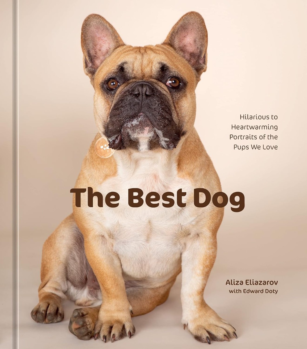 

The Best Dog. Hilarious to Heartwarming Portraits of the Pups We Love