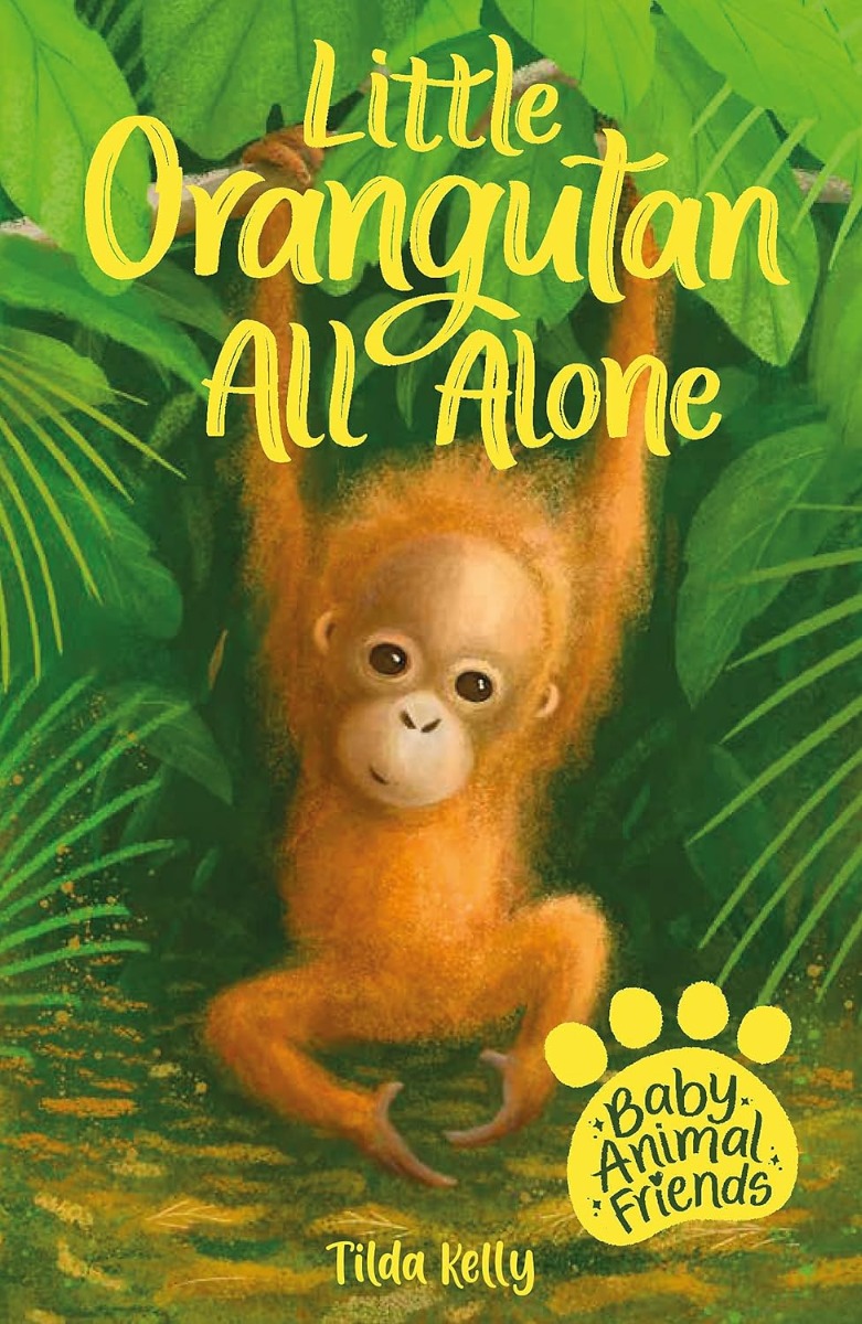 

Little Orangutan All Alone