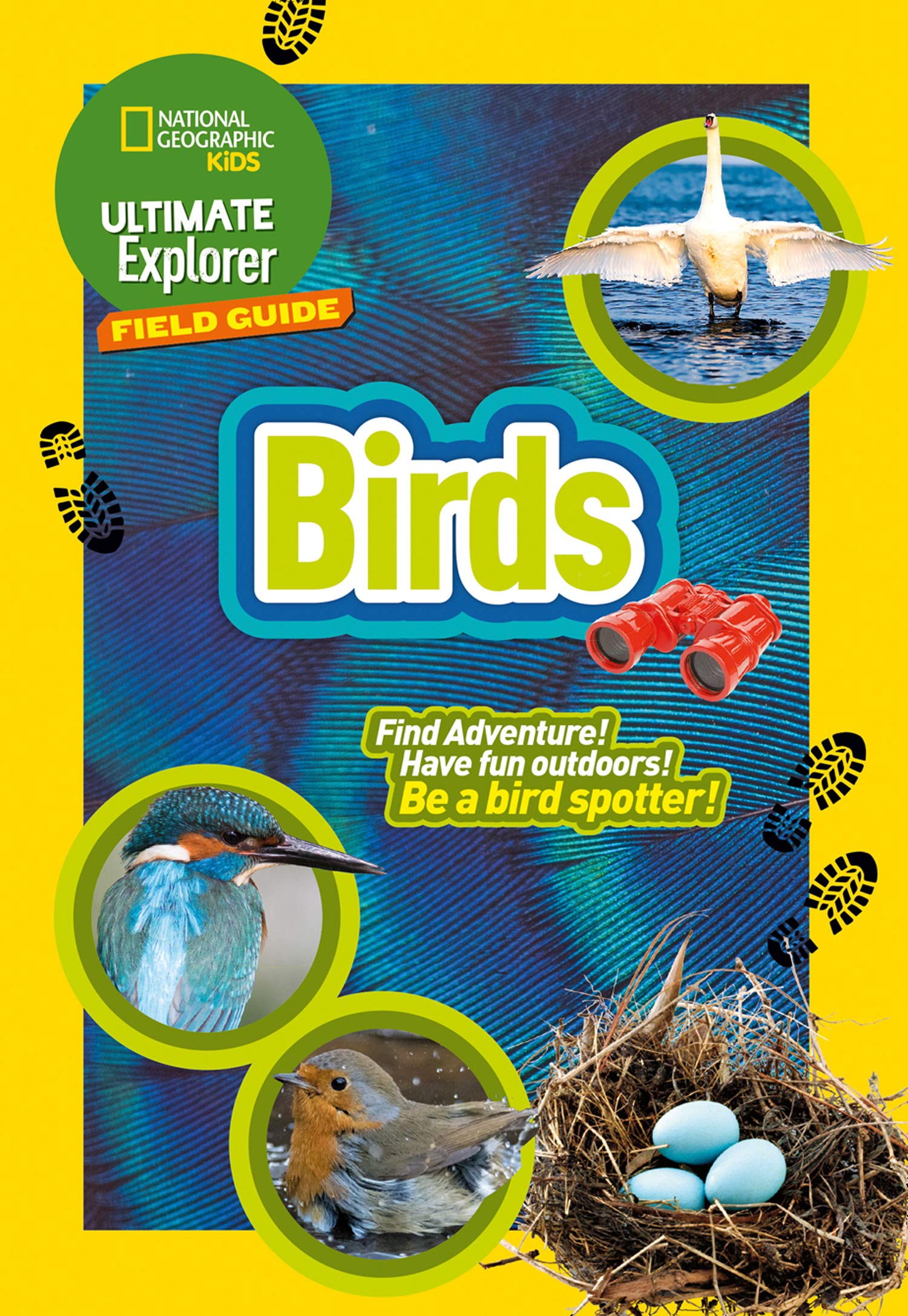 

British Birds : Find Adventure! Have Fun Outdoors! be a Bird Spotter!