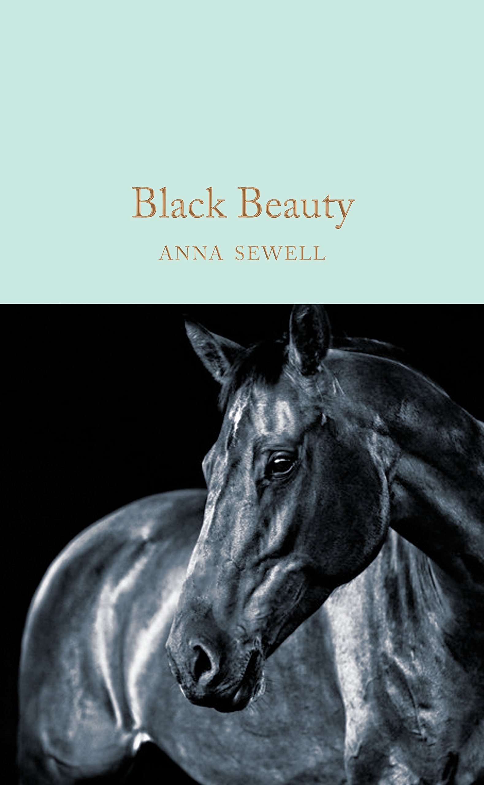 

Black Beauty
