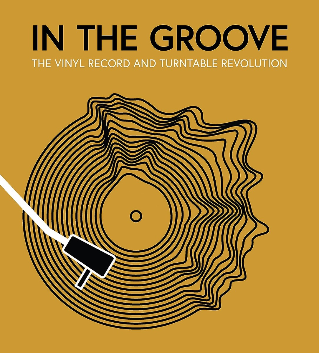 

In the Groove. The Vinyl Record and Turntable Revolution