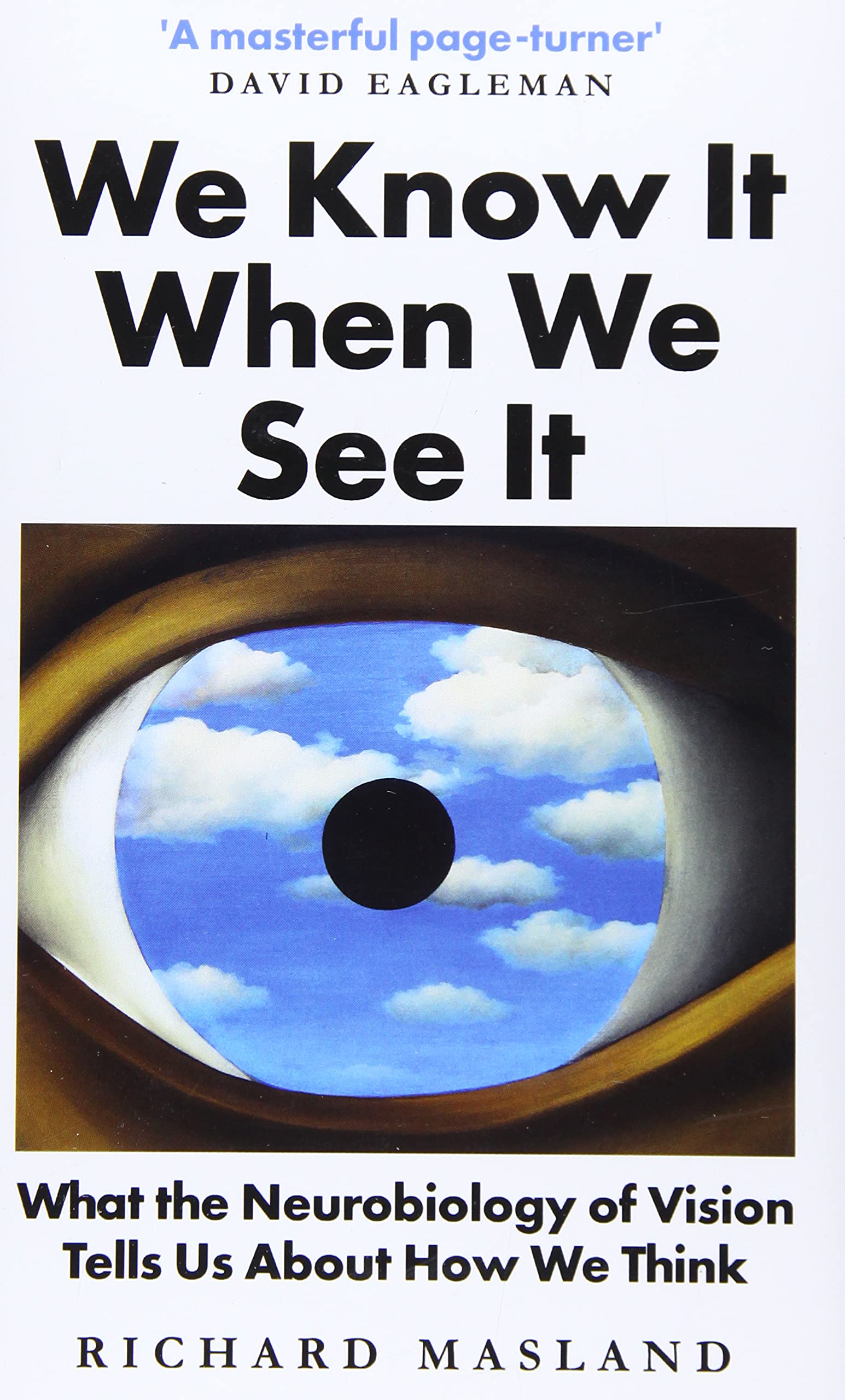 

We Know It When We See It. What the Neurobiology of Vision Tells Us About How We Think