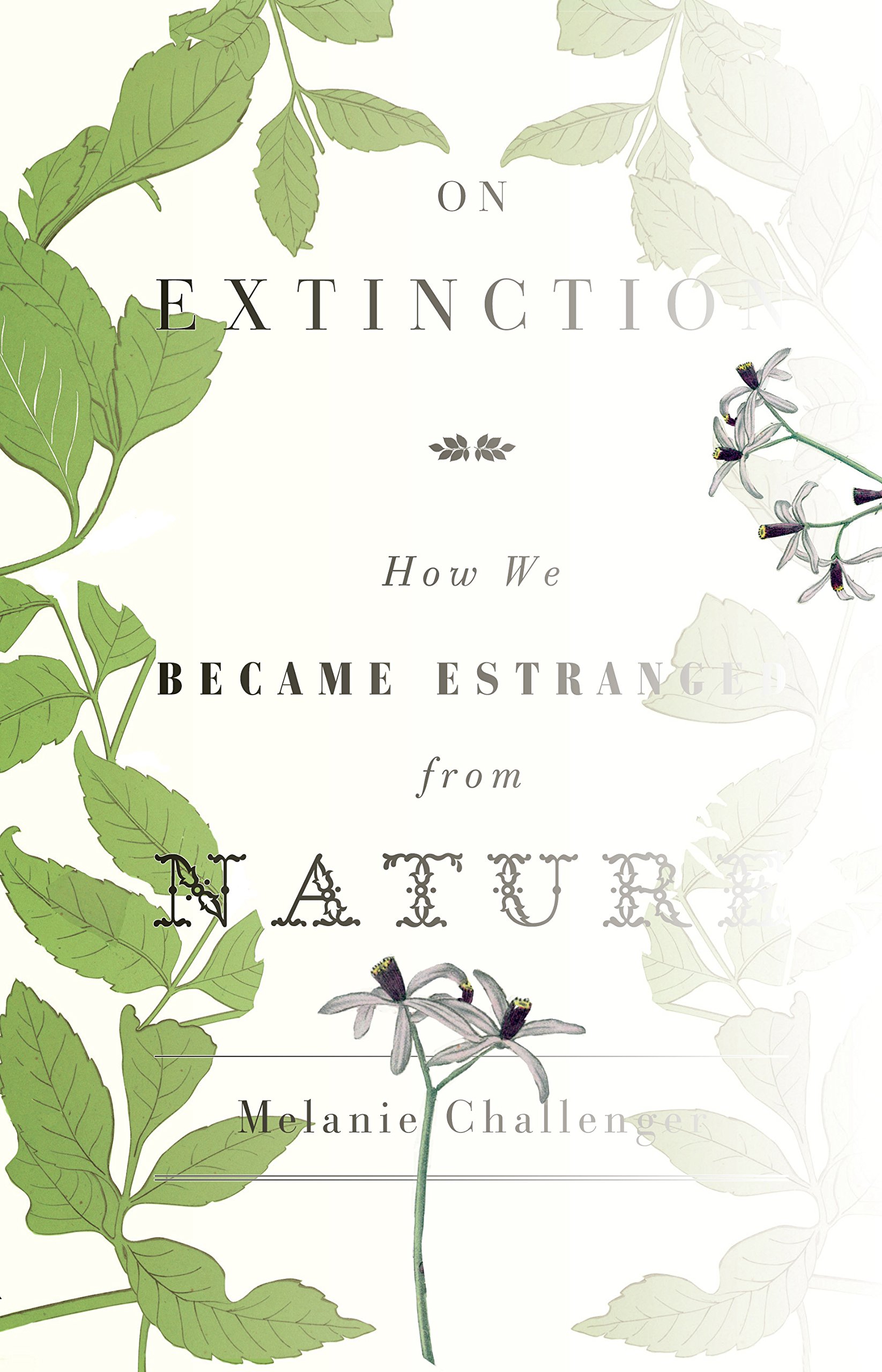 

On Extinction. How We Became Estranged from Nature
