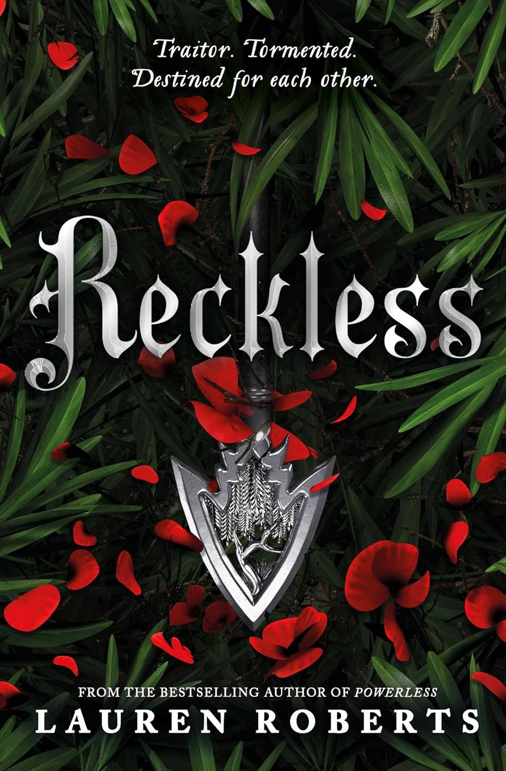 Reckless: TikTok made me buy it! The epic and sizzling fantasy romance series not to be missed 