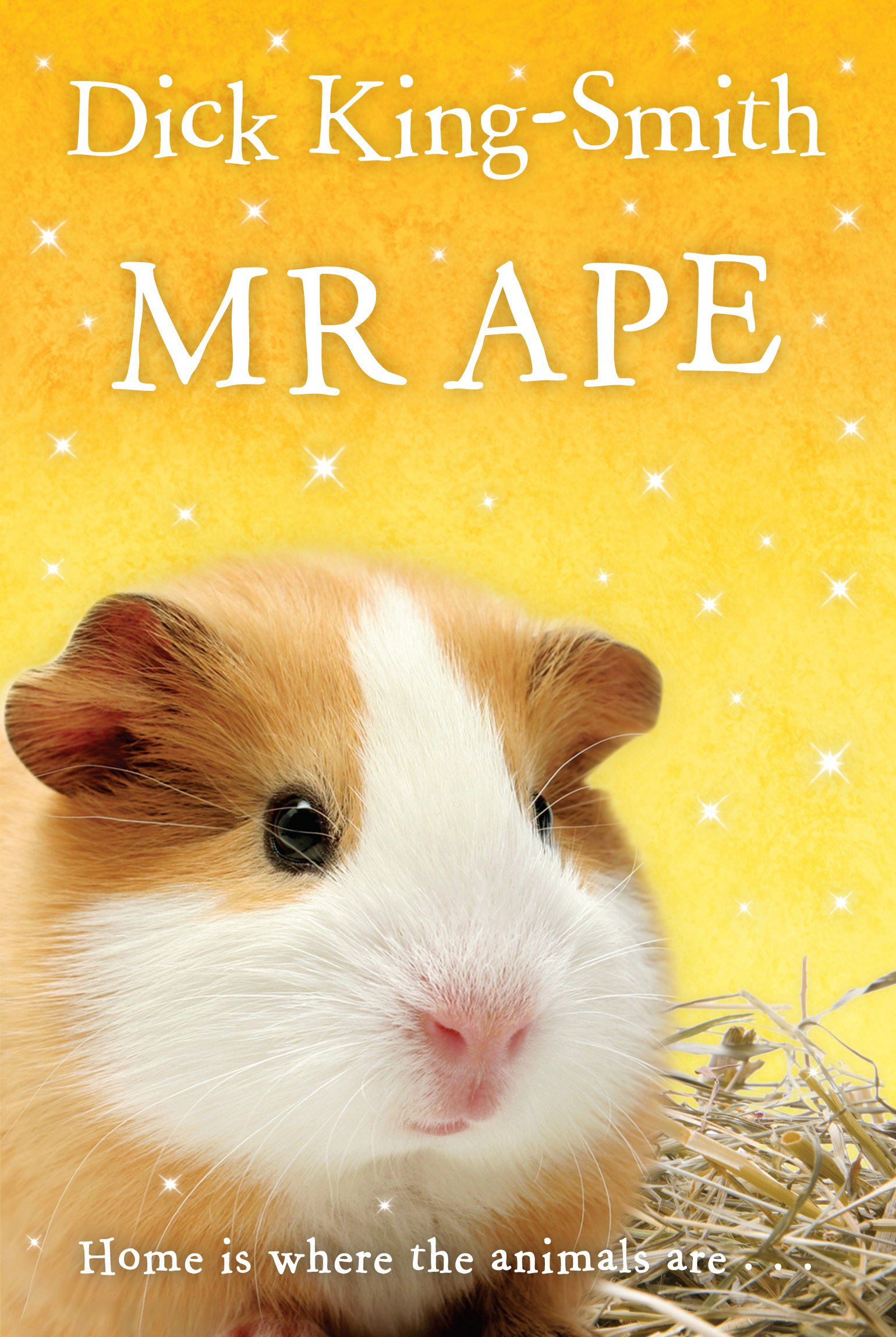 

Mr Ape