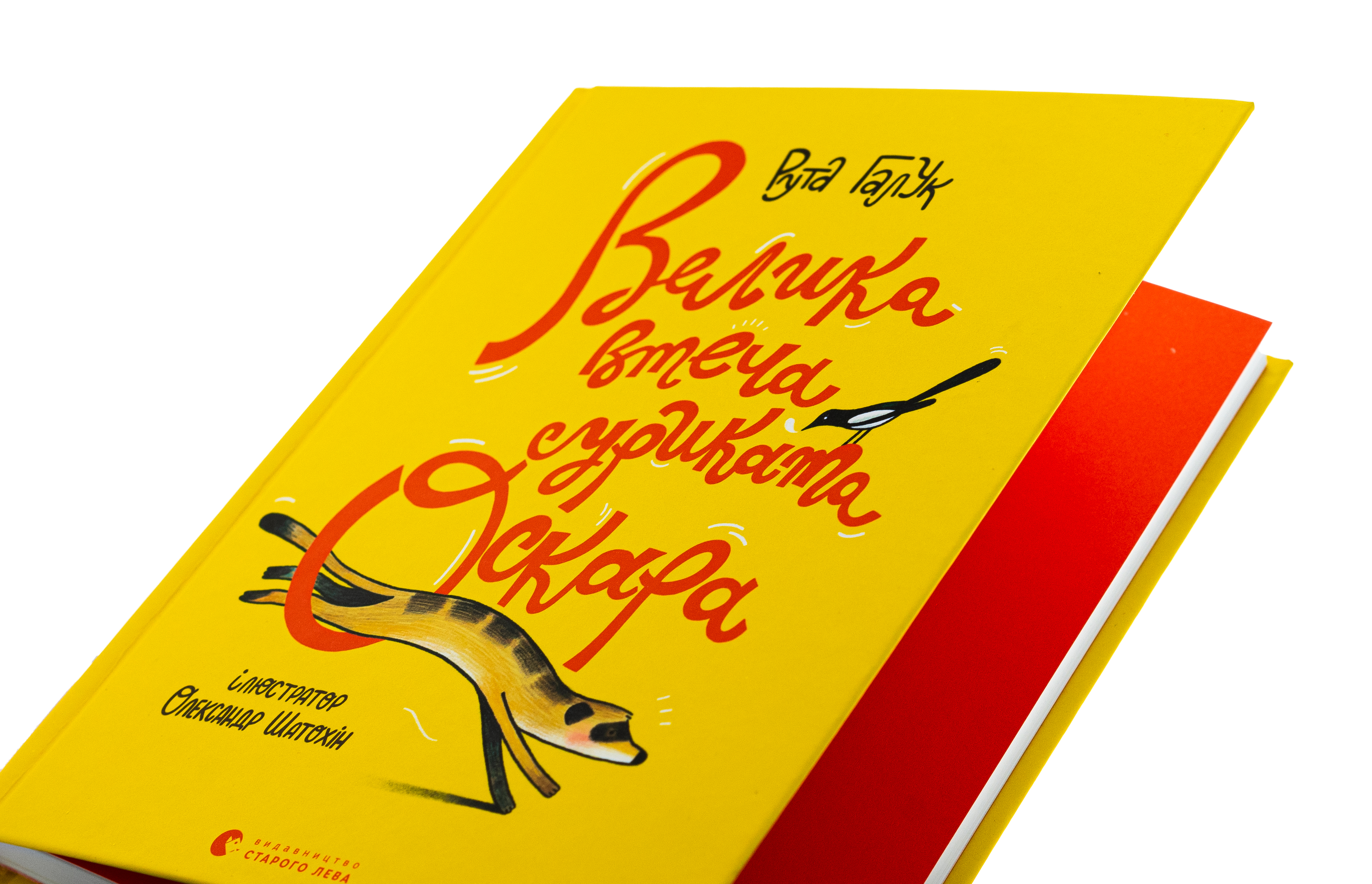 Велика втеча суриката Оскара — фото 4