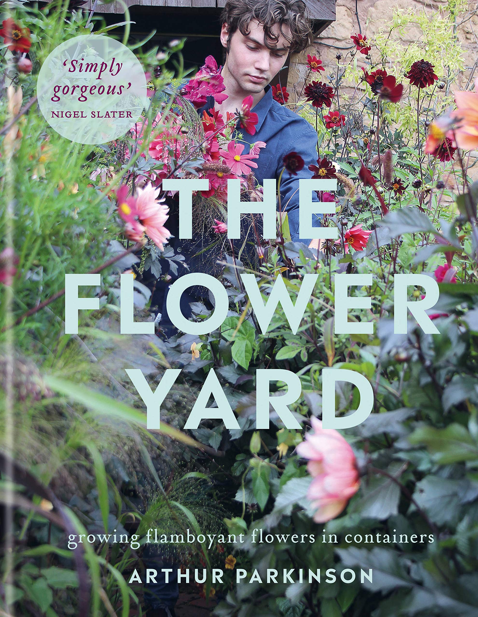 

The Flower Yard. Growing Flamboyant Flowers in Containers
