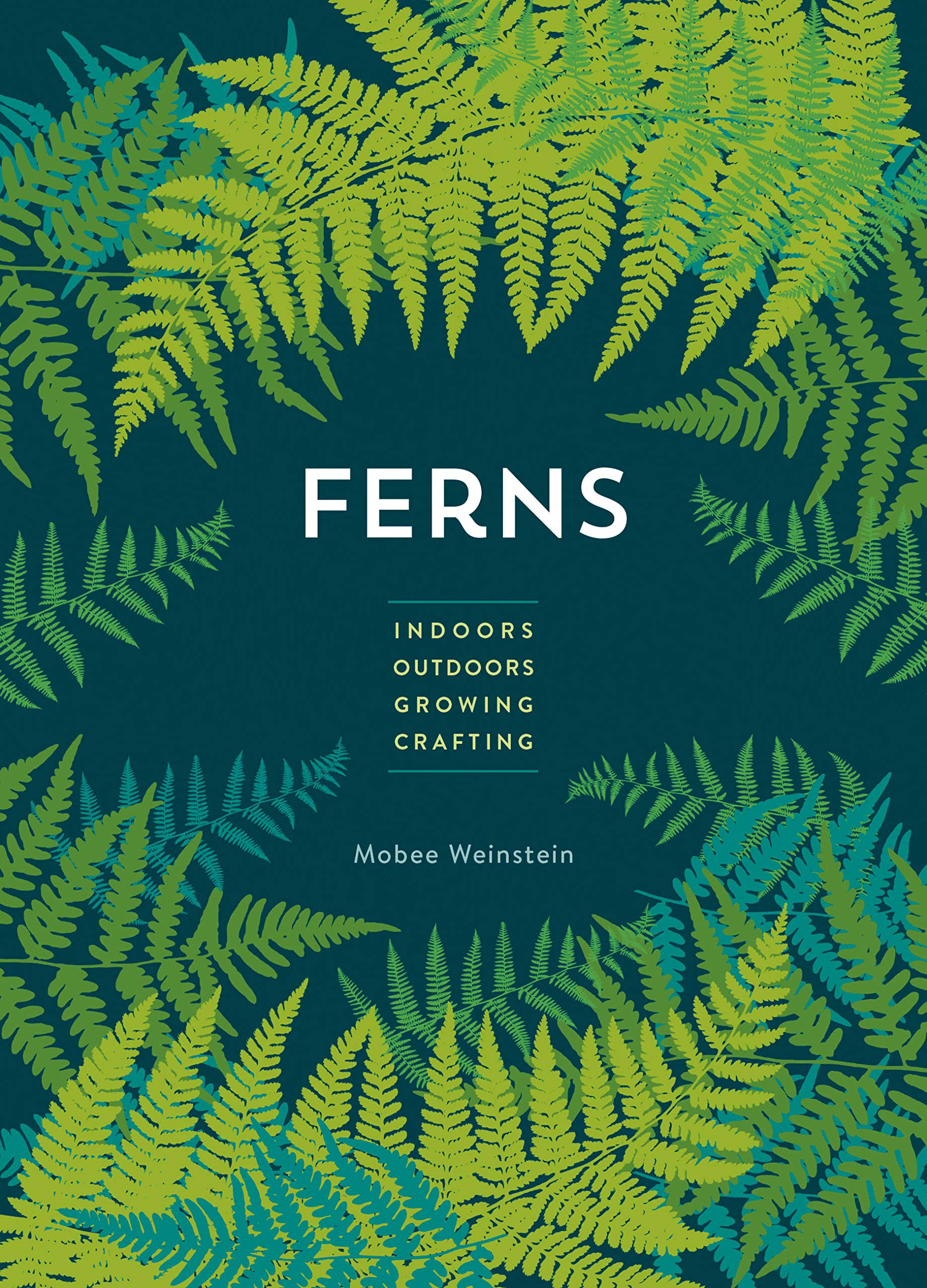 

Ferns. Indoors. Outdoors. Growing. Crafting