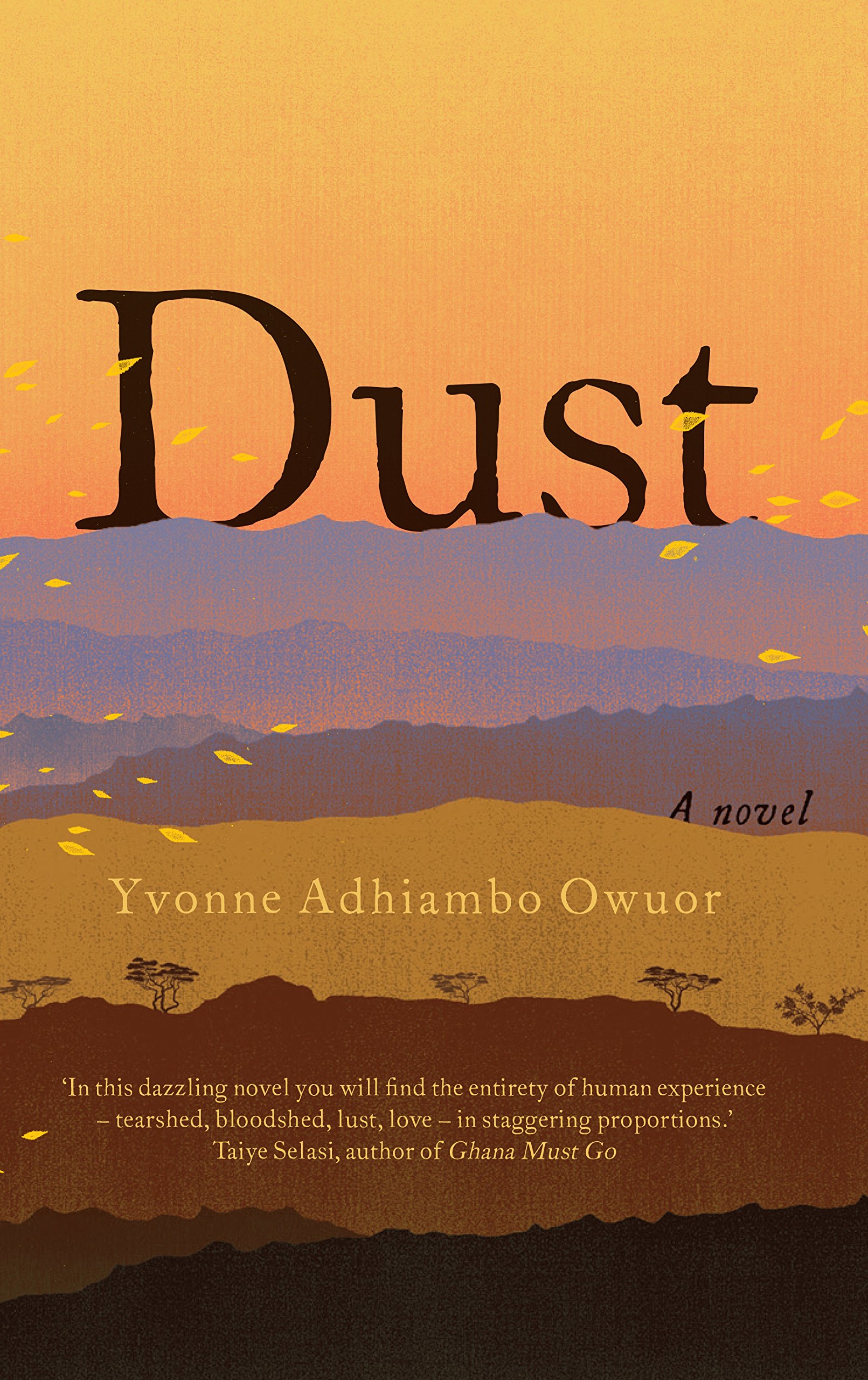 

Dust