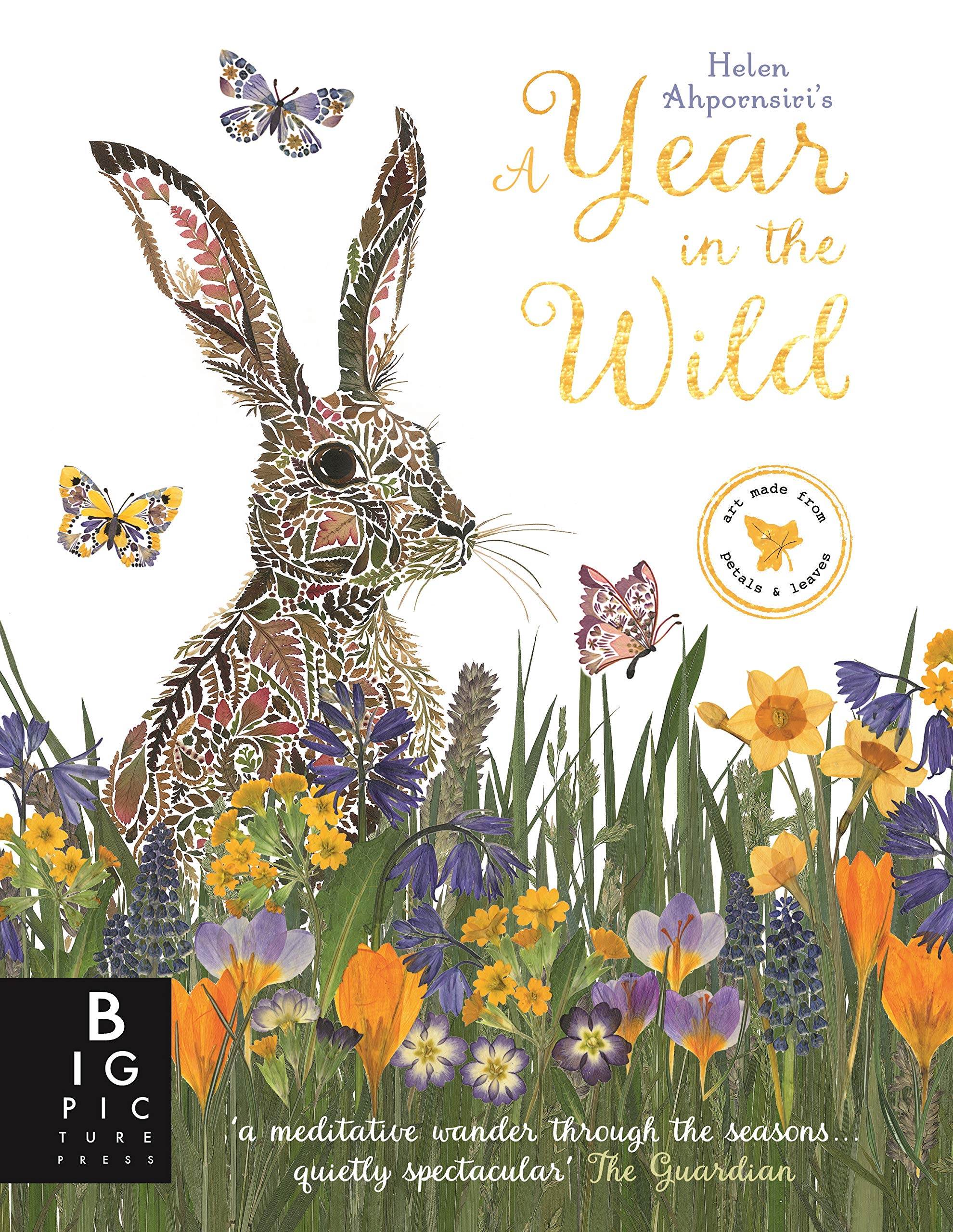 

A Year in the Wild
