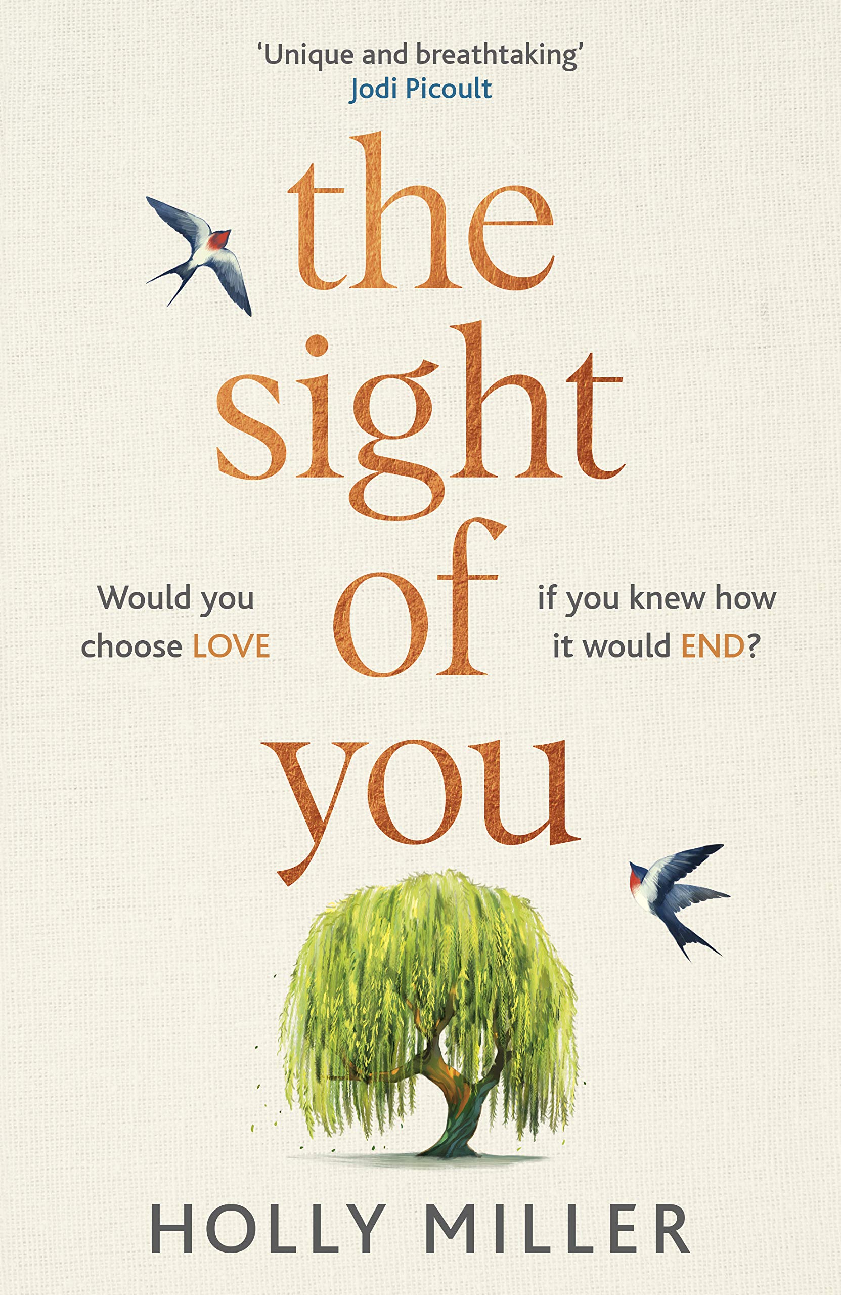 

The Sight of You