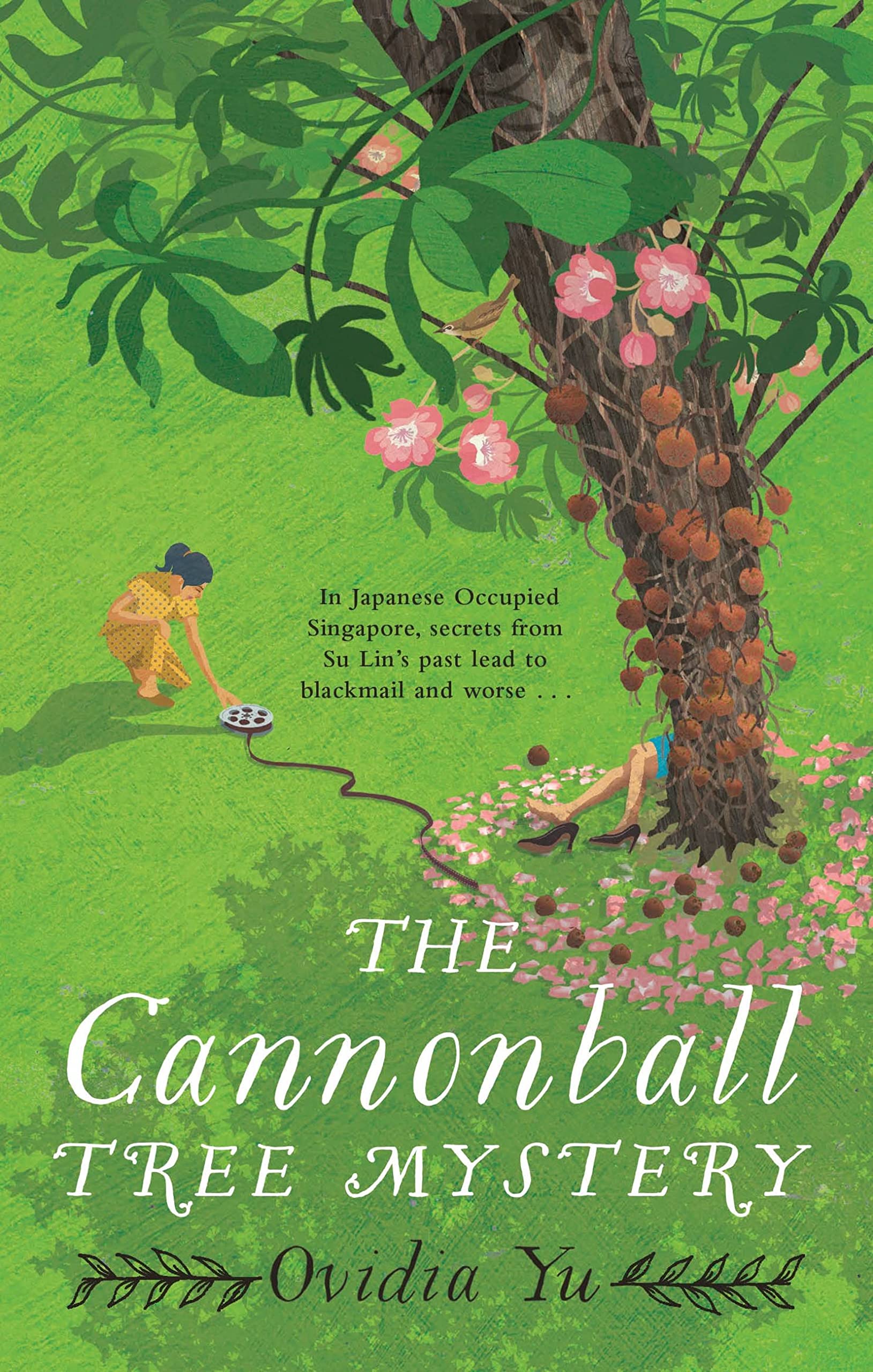 

The Cannonball Tree Mystery