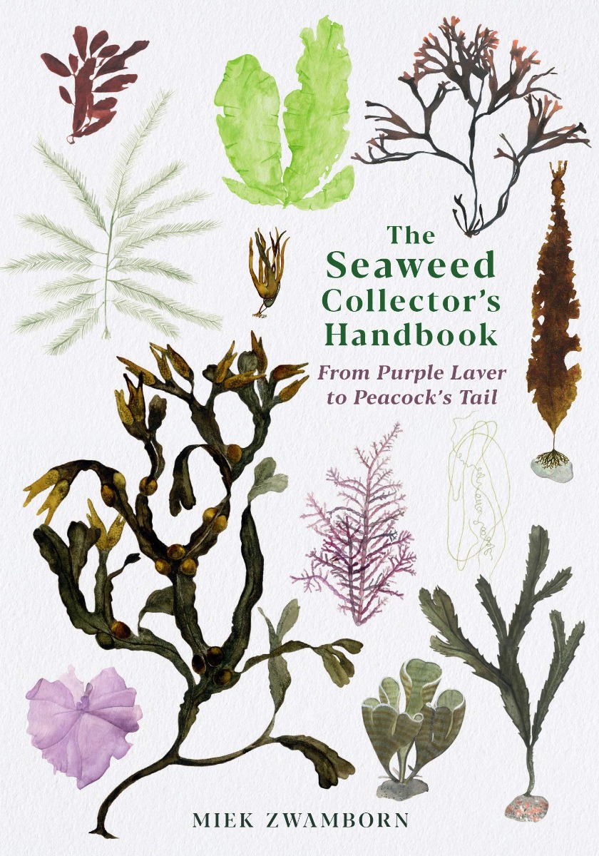 

The Seaweed Collector's Handbook
