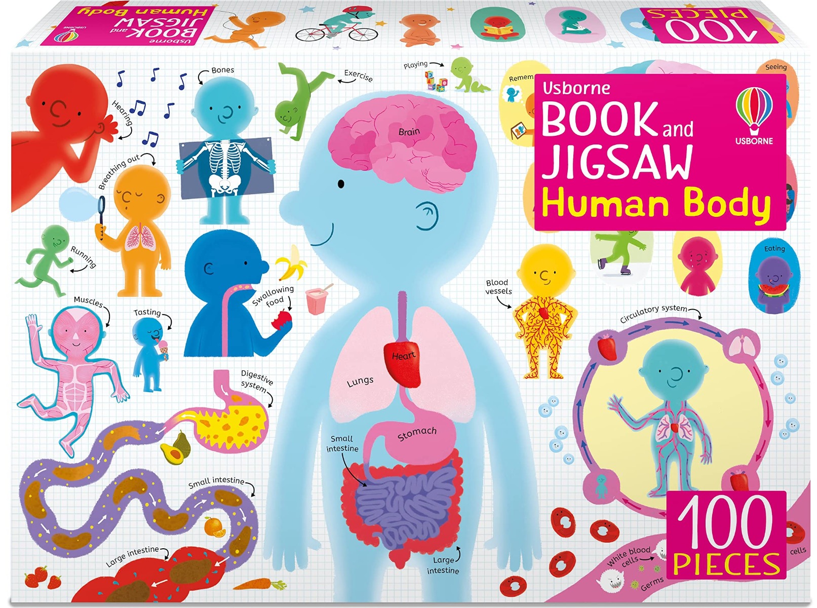 

The Human Body Jigsaw