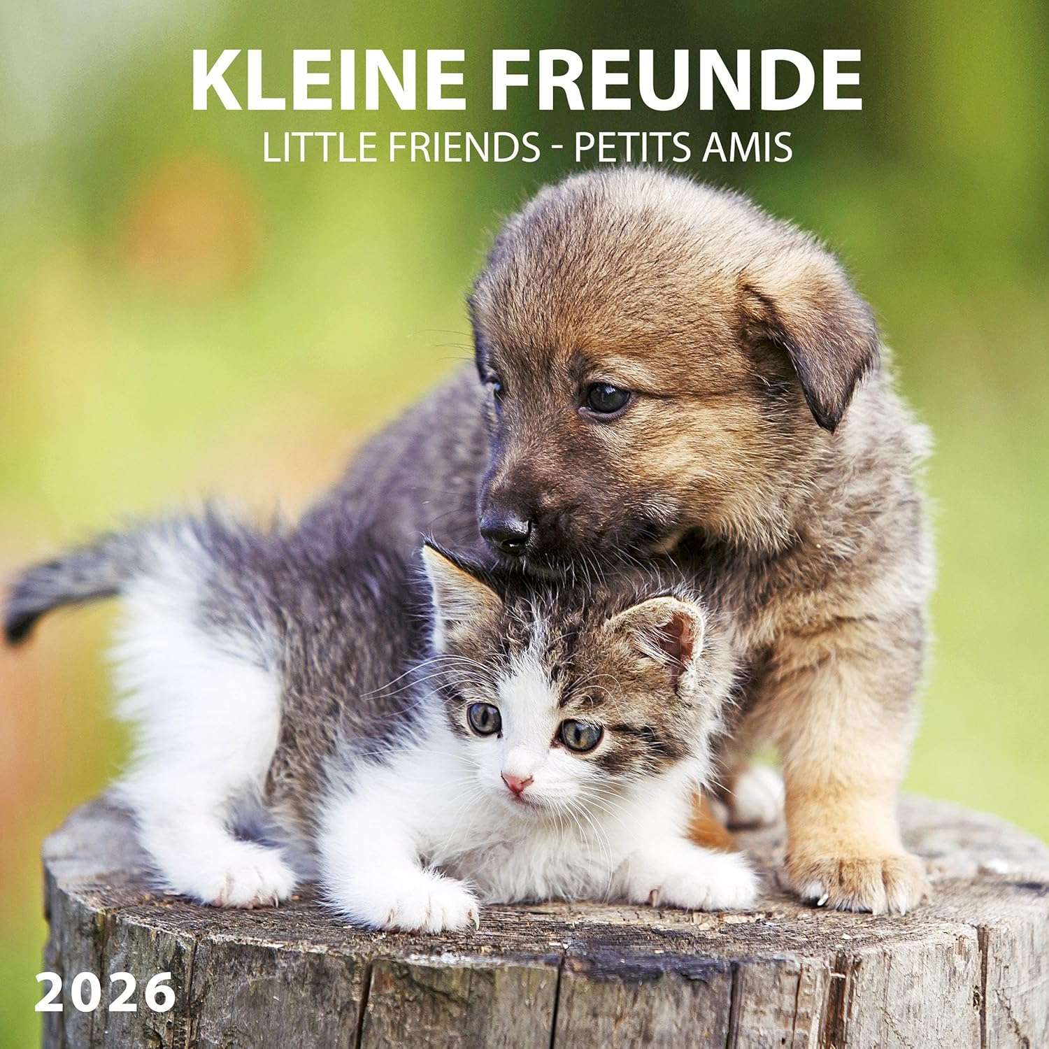 Книга «Kleine Freunde/Little Friends/Petits Amis 2026» – , купити за ... Книга «Kleine Freunde/Little Friends/Petits Amis 2026» – , купити за ...