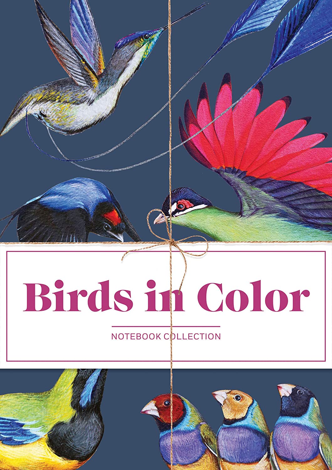 

Birds in Color Notebooks