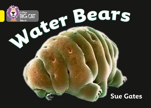 Collins Big Cat — WATER BEARS: Band 03/Yellow 