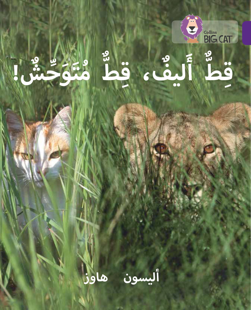 

Tame Cat, Wild Cat: Level 8