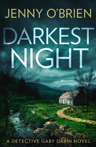 Detective Gaby Darin (2) — DARKEST NIGHT [not-US] 