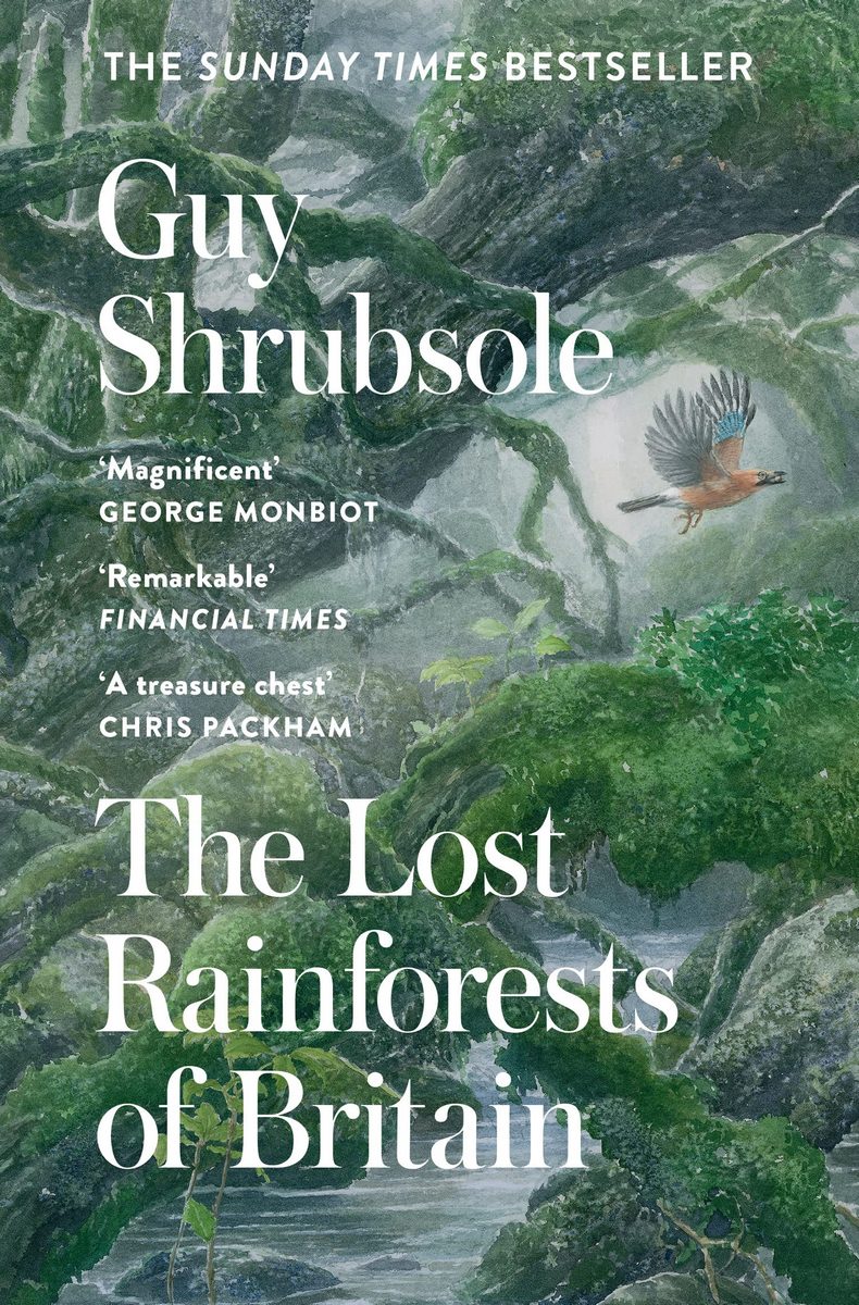 

The Lost Rainforests of Britain