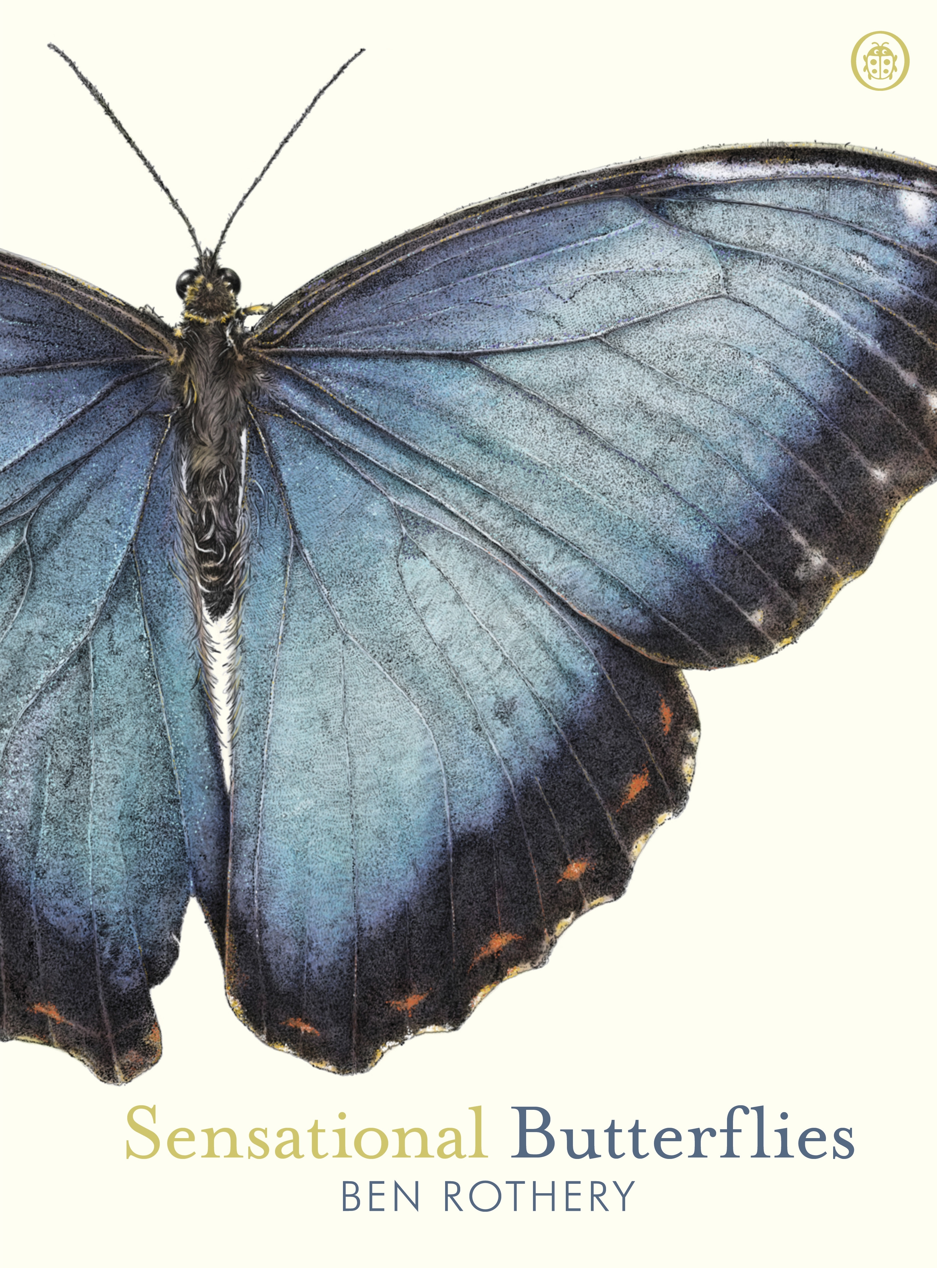 

Sensational Butterflies