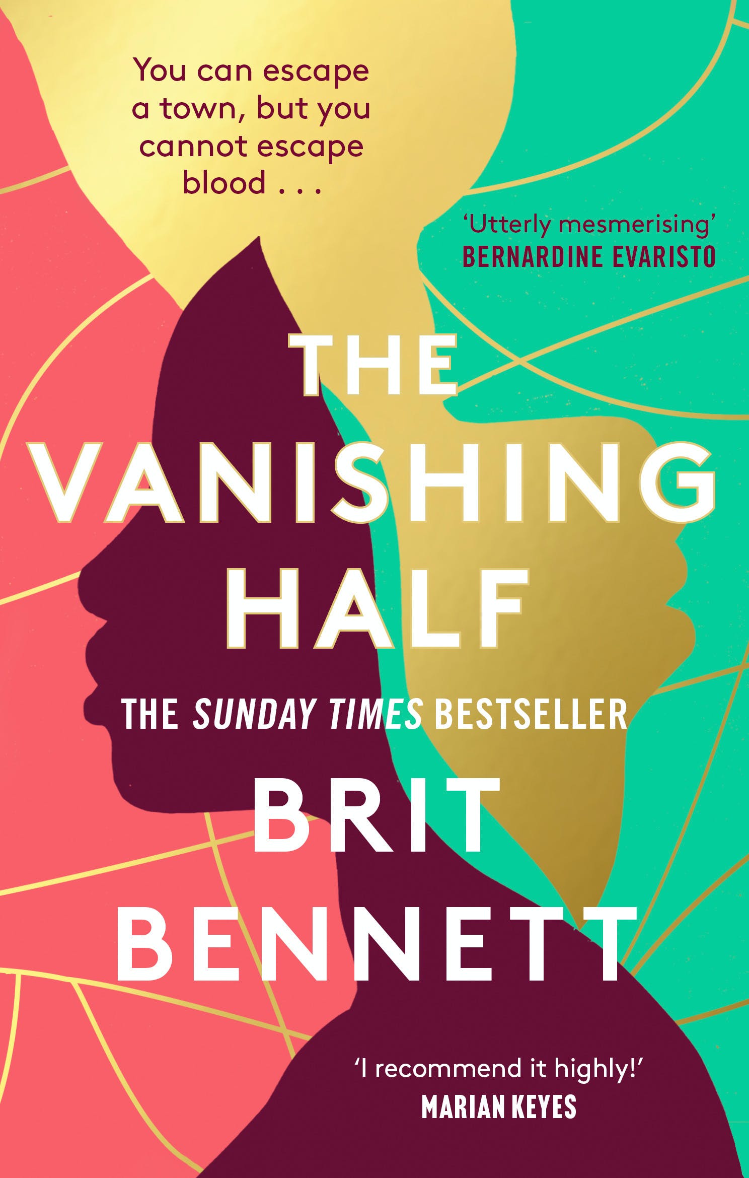 

The Vanishing Half