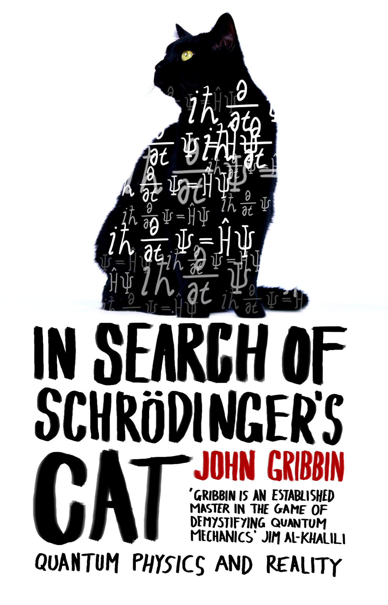 

In Search Of Schrodinger's Cat