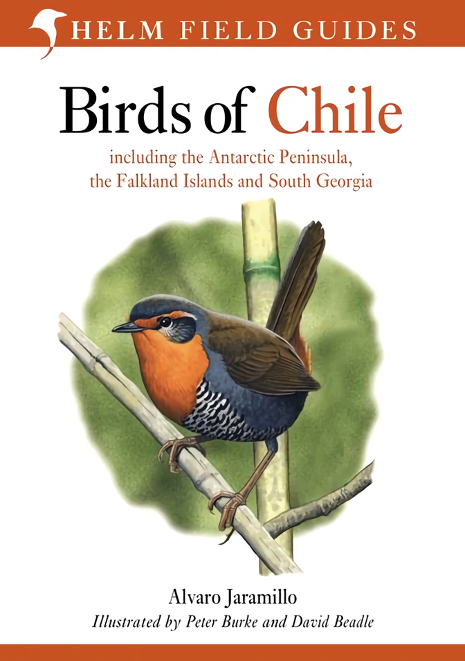 

Birds of Chile