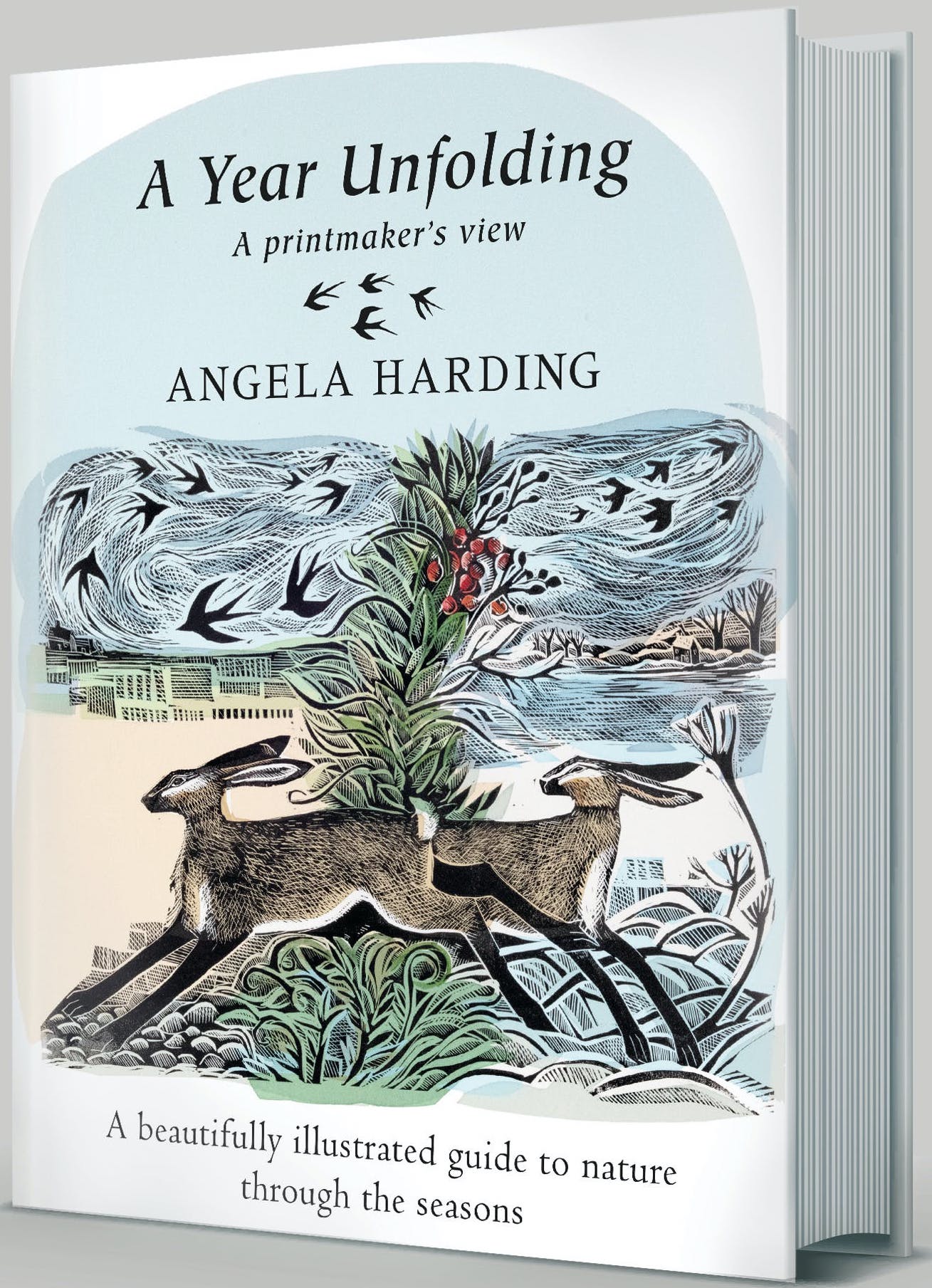 

A Year Unfolding. A Printmaker's View