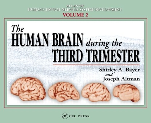 [object Object] «The Human Brain During the Third Trimester», авторов Джозеф Альтман, Ширли А. Байер - фото №1