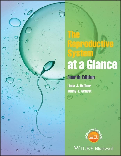 [object Object] «The Reproductive System at a Glance», авторов Дэнни Дж. Шуст, Линда Дж. Хеффнер - фото №1