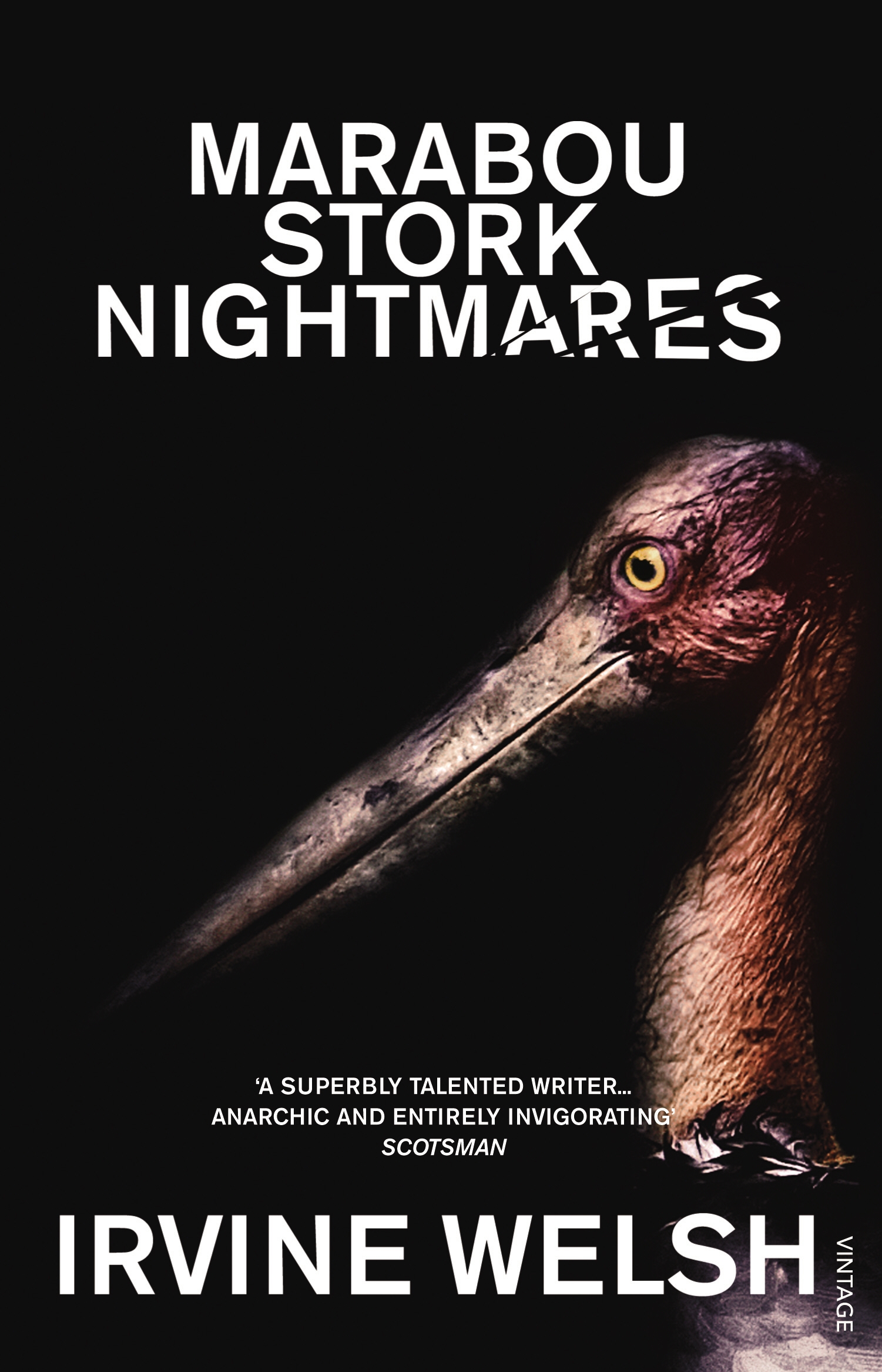 

Marabou Stork Nightmares