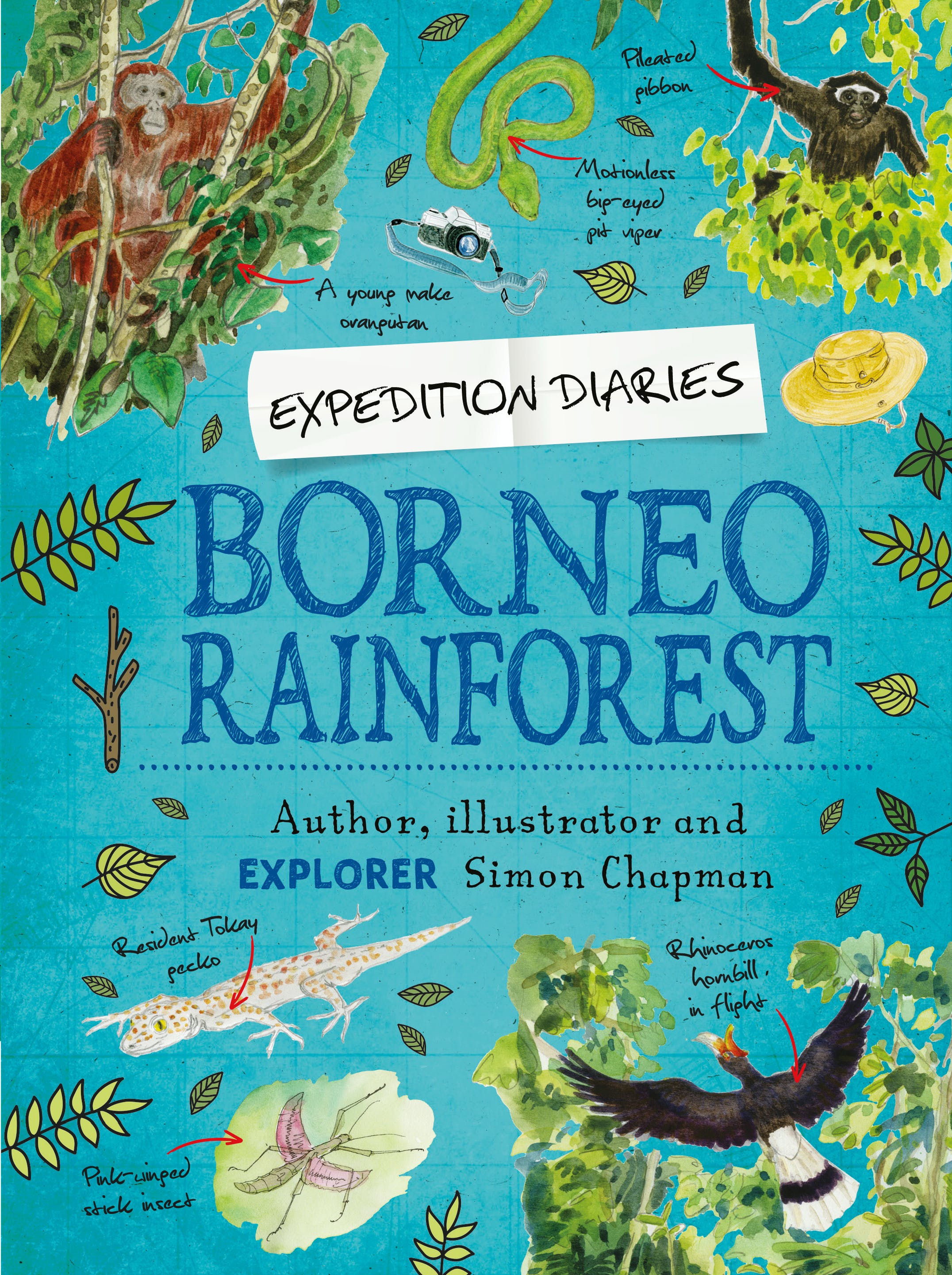 

Borneo Rainforest
