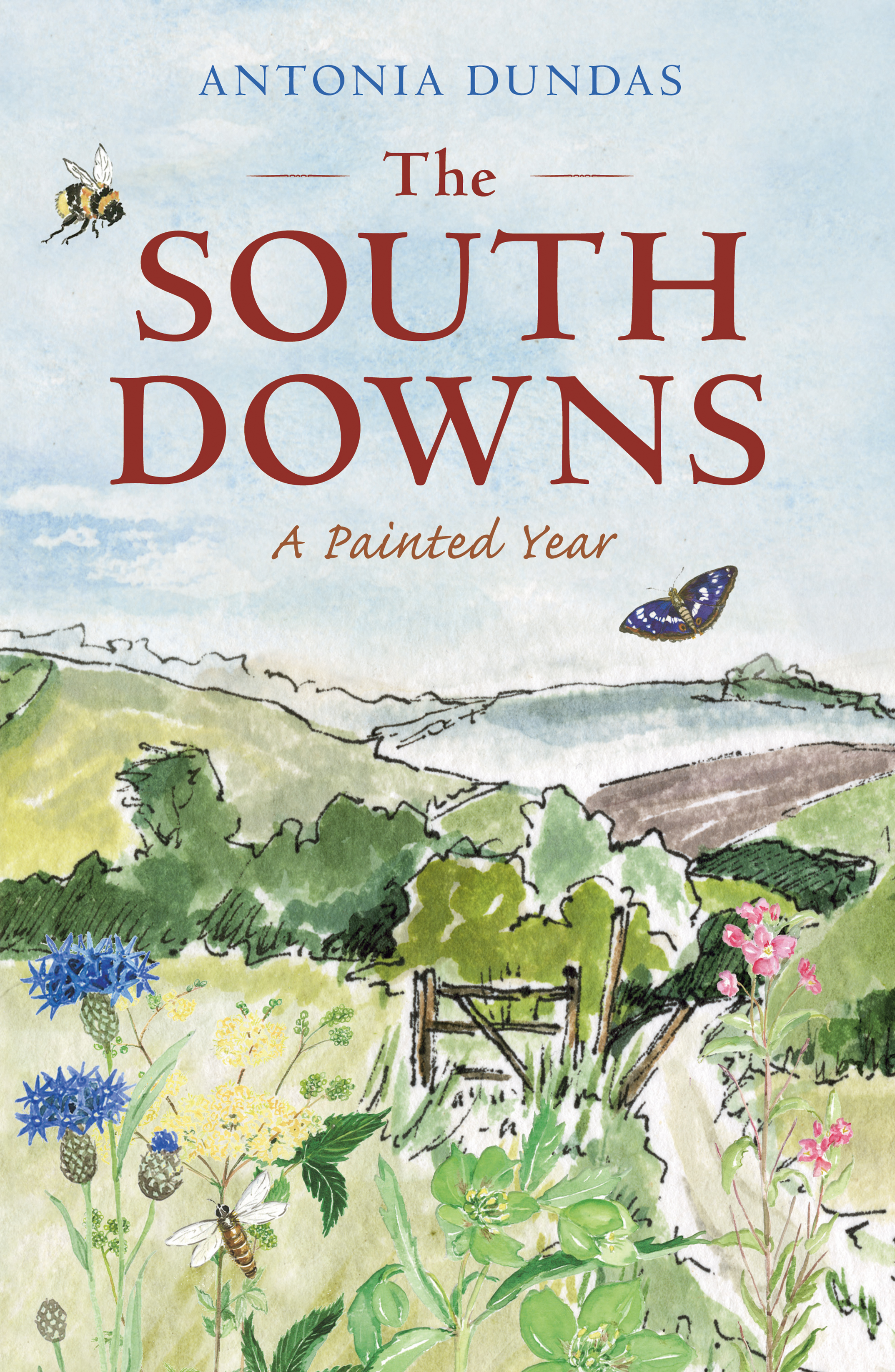 

The South Downs