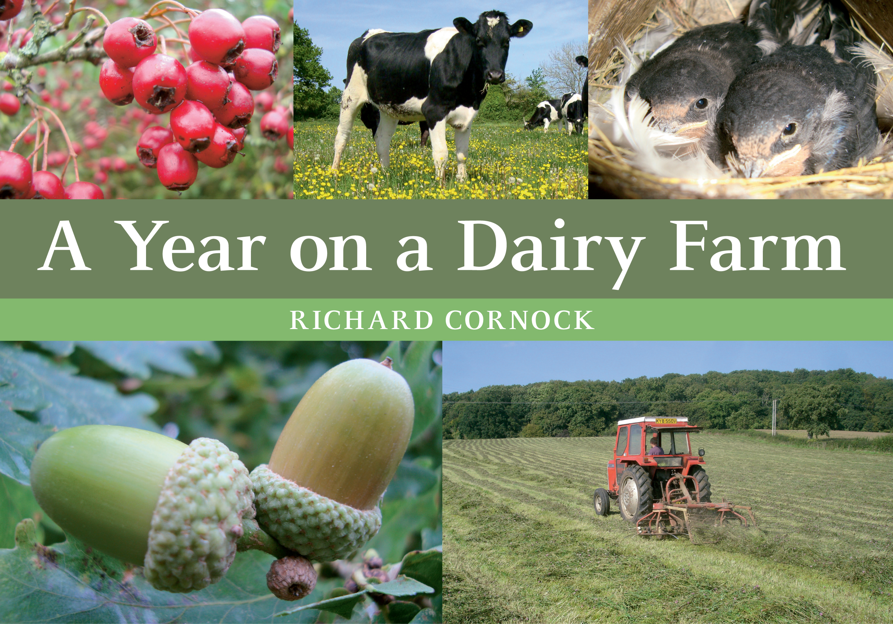 

A Year on a Dairy Farm
