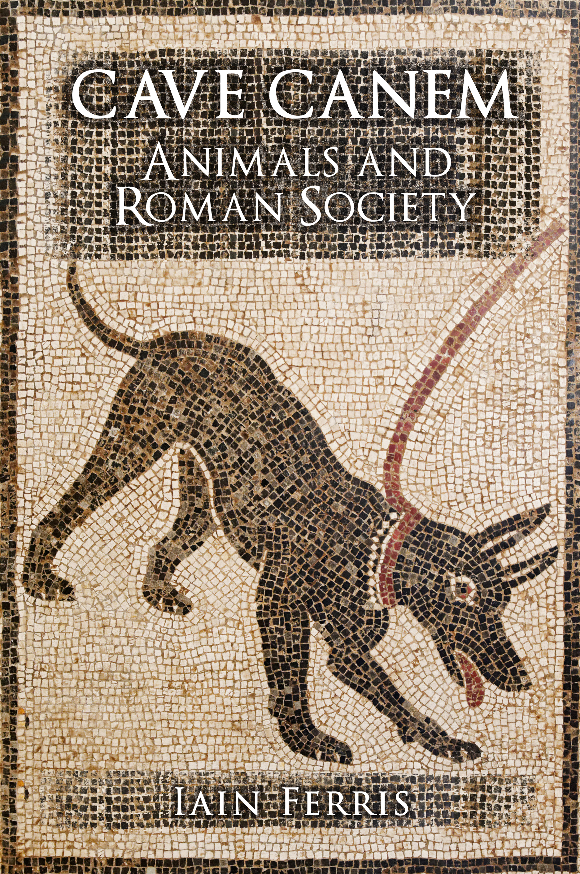 

Cave Canem