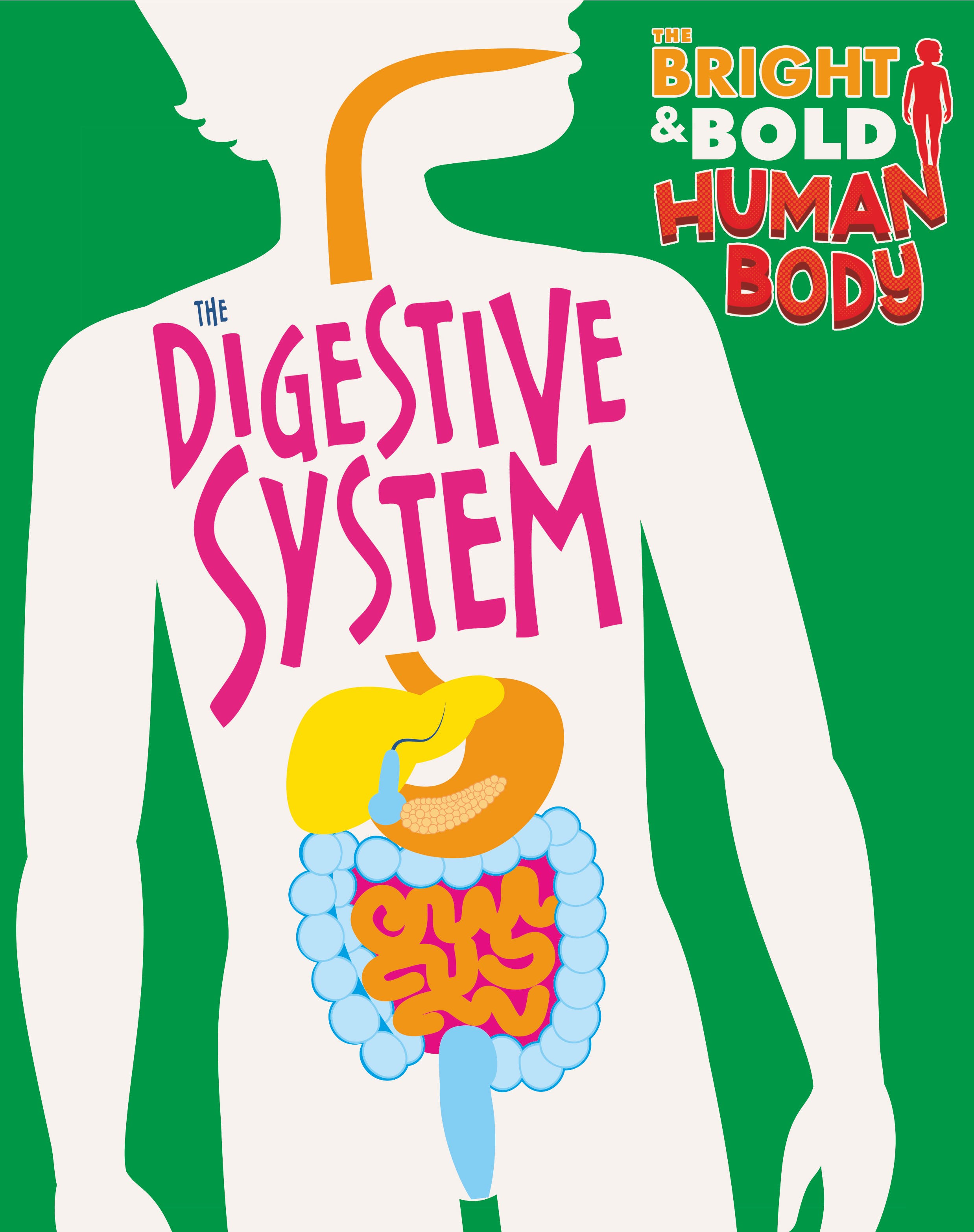 

The Digestive System