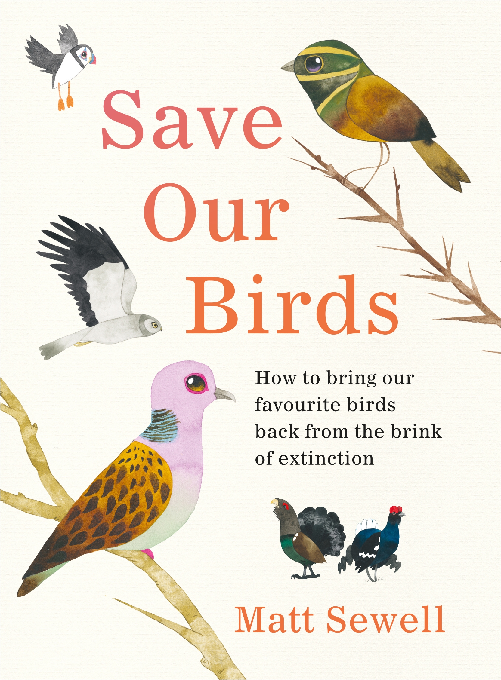 

Save Our Birds