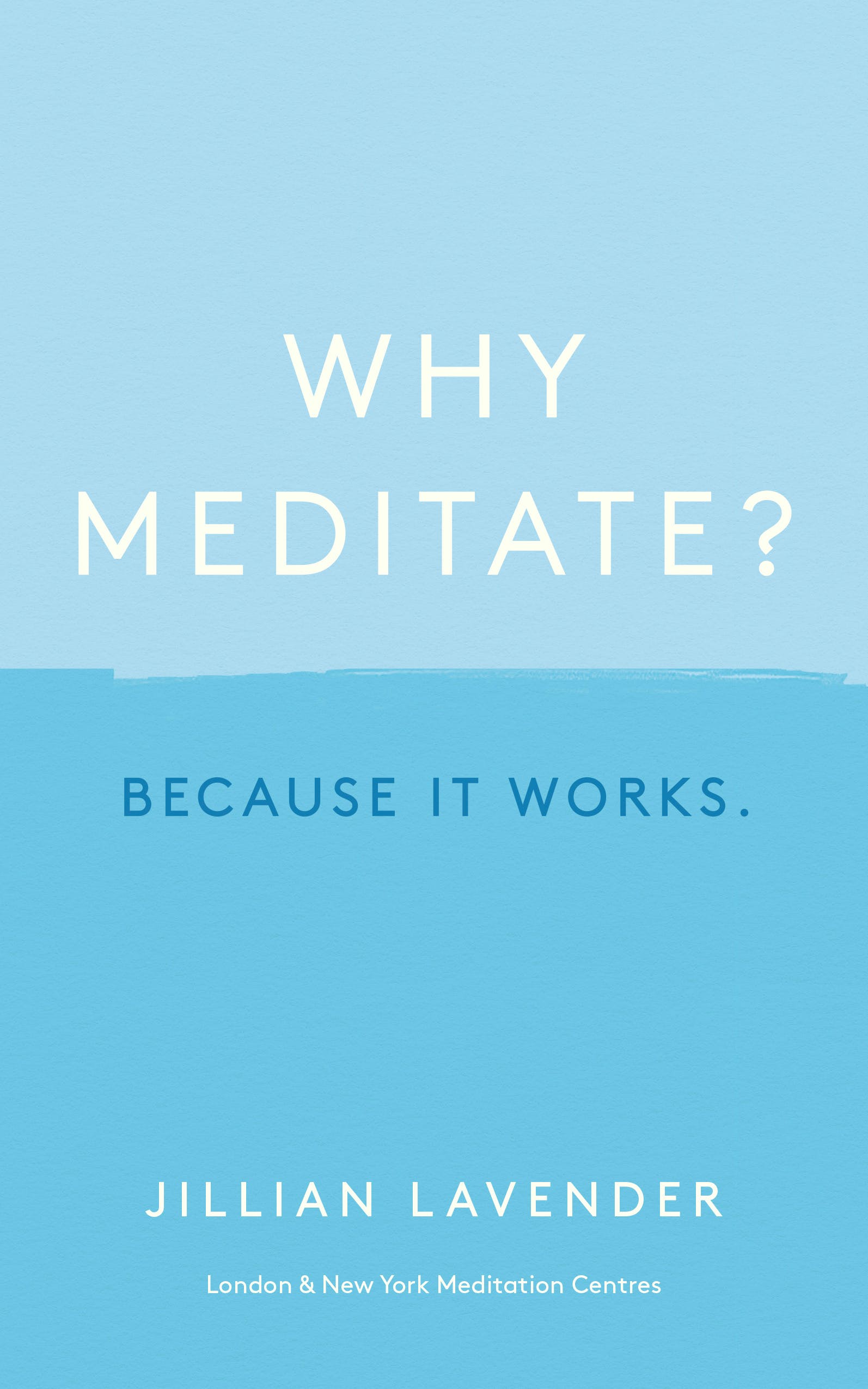 

Why Meditate Because it Works