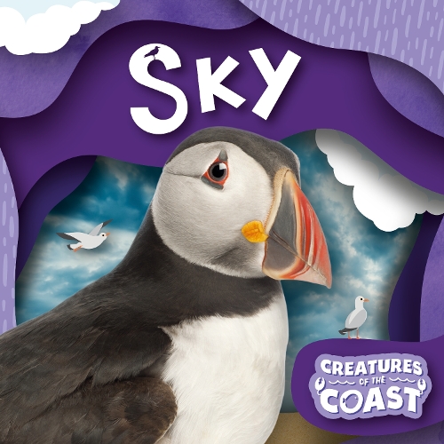 

Sky