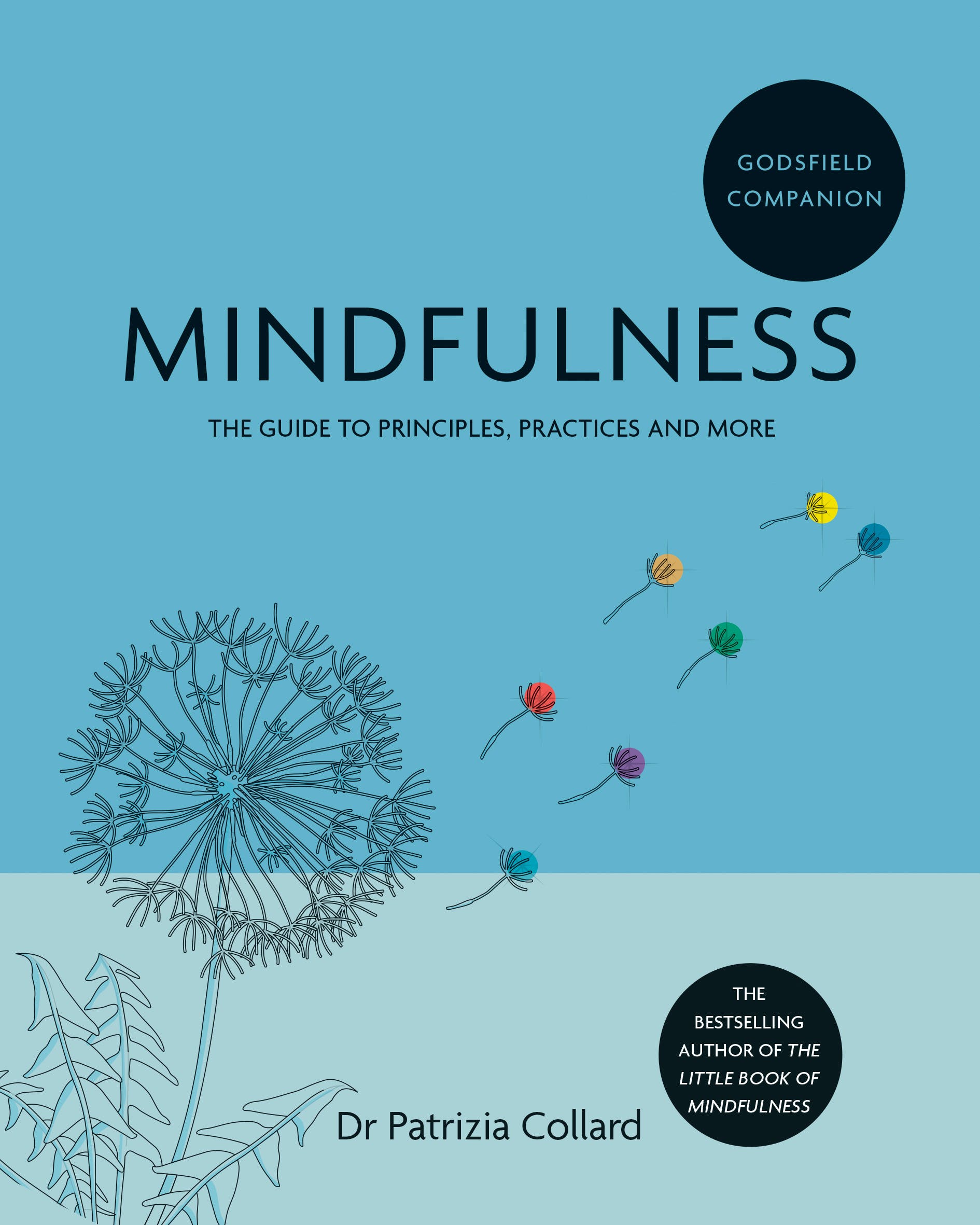 

Godsfield Companion. Mindfulness: The guide to principles, practices and more