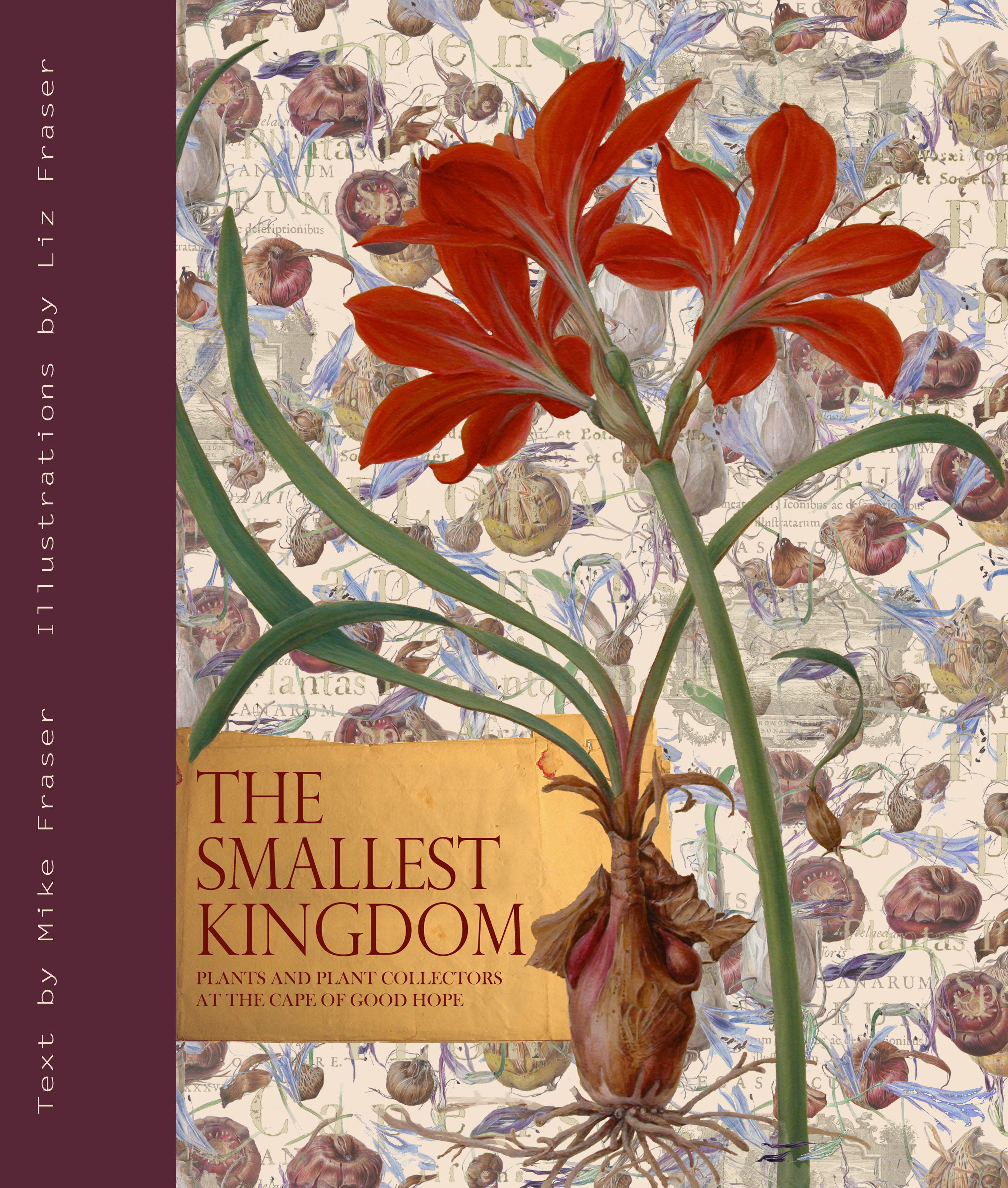 

Smallest Kingdom: Plants and Plant Collectors at the Cape of Good Hope