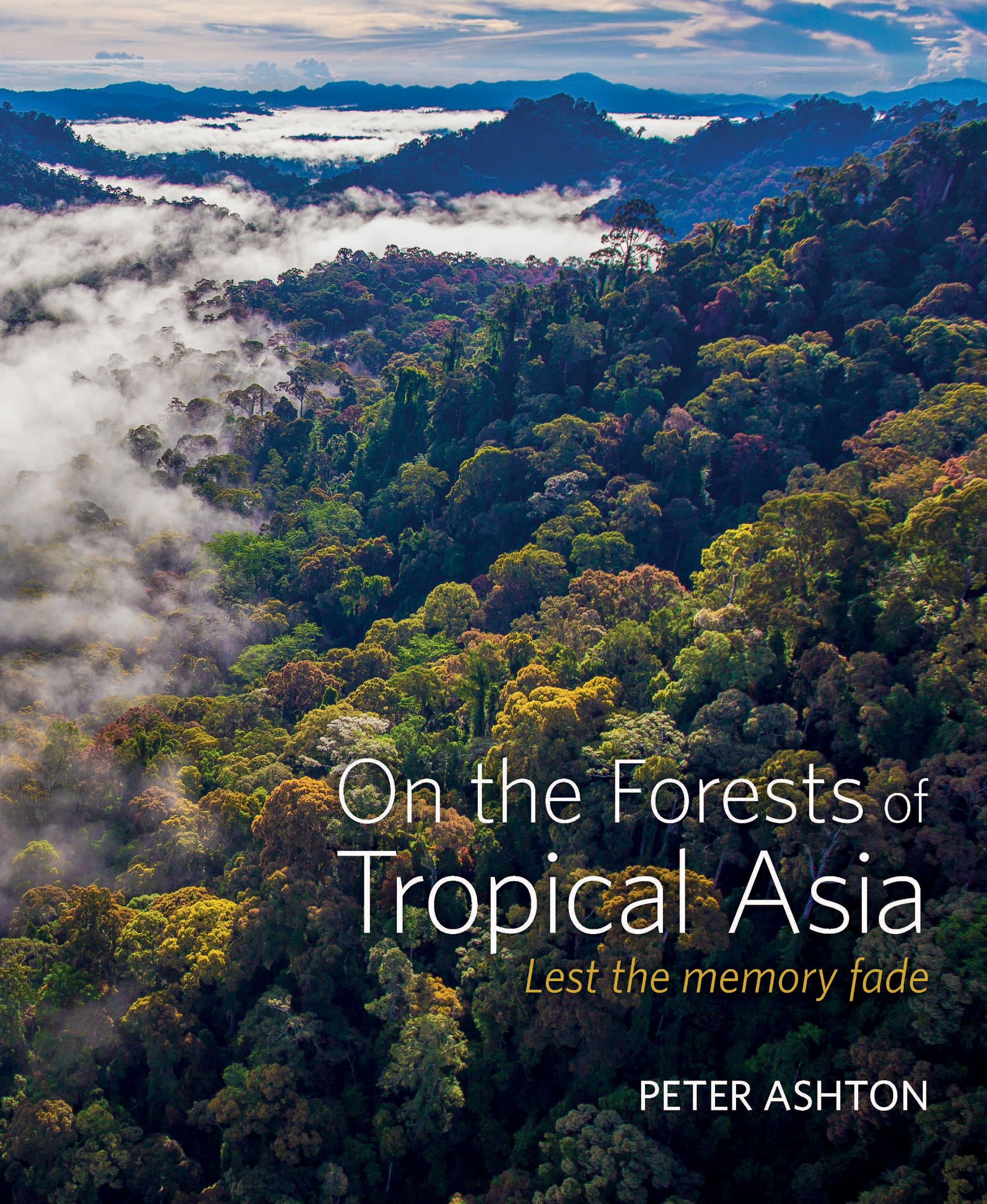 

On the Forests of Tropical Asia