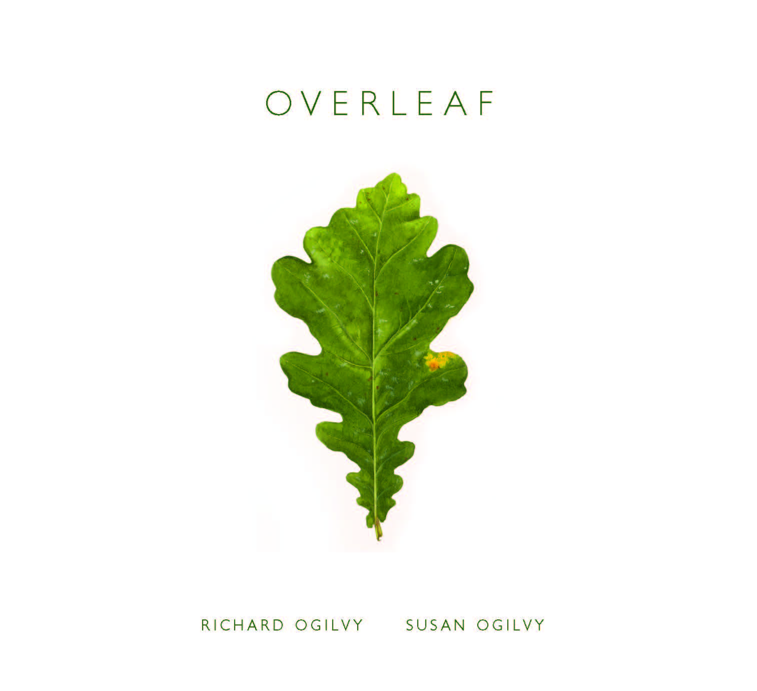 Книга «Overleaf» – , купить по цене 1142 на YAKABOO: 9781842464915