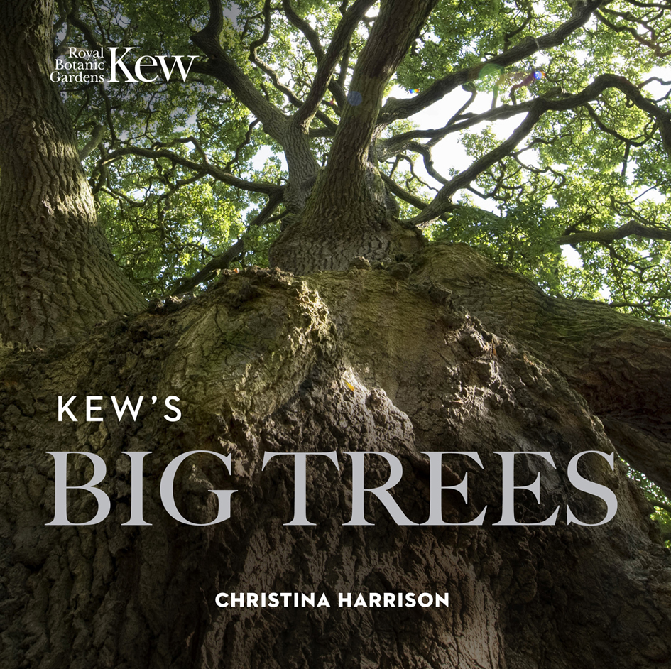 

Kew’s Big Trees
