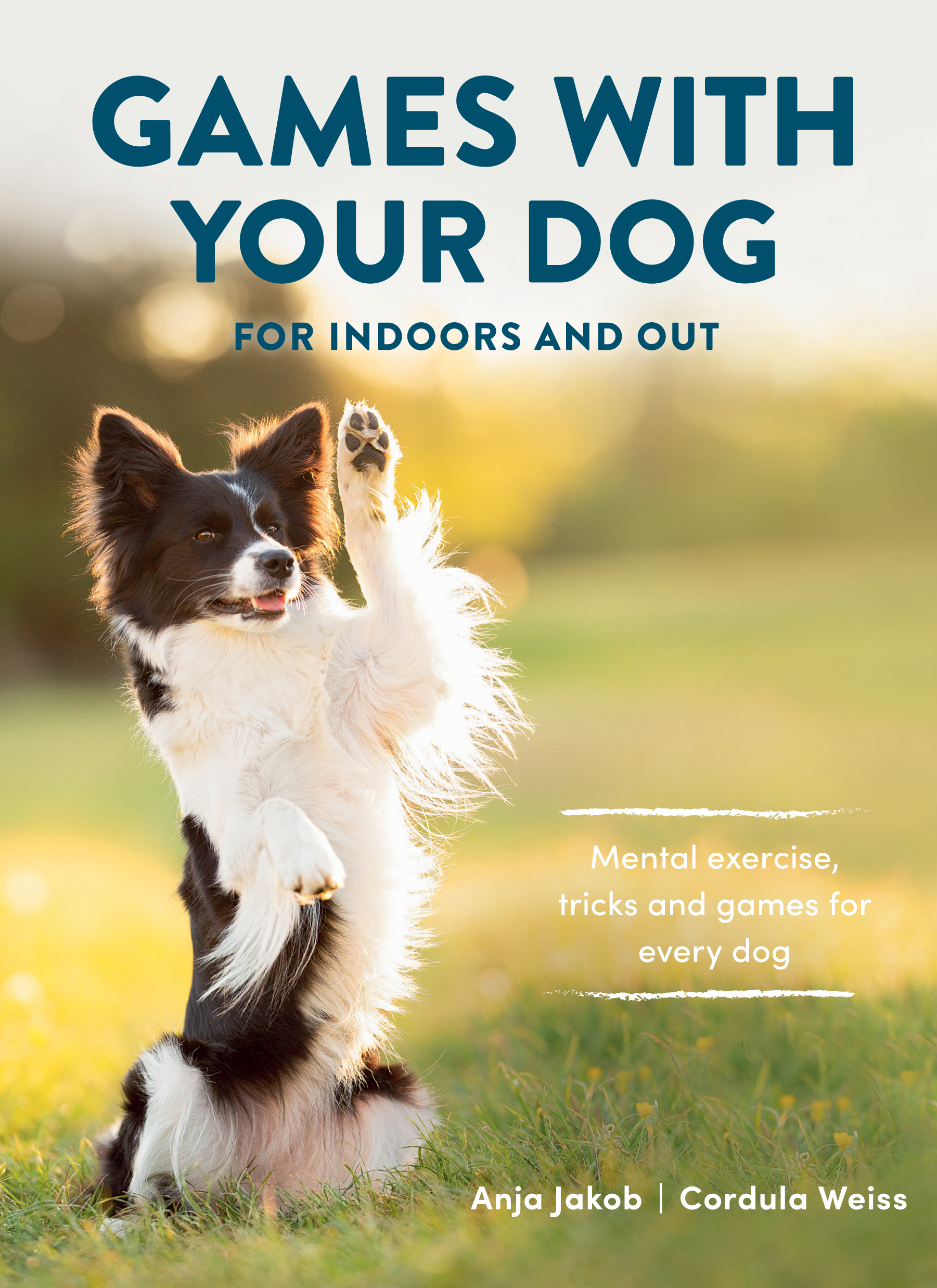 [object Object] «Games With Your Dog : For Indoors and Out», авторов Кордула Вайс, Аня Якоб - фото №1