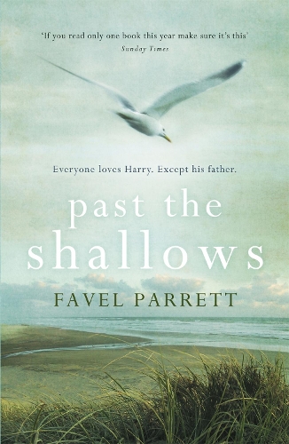 Past the Shallows 